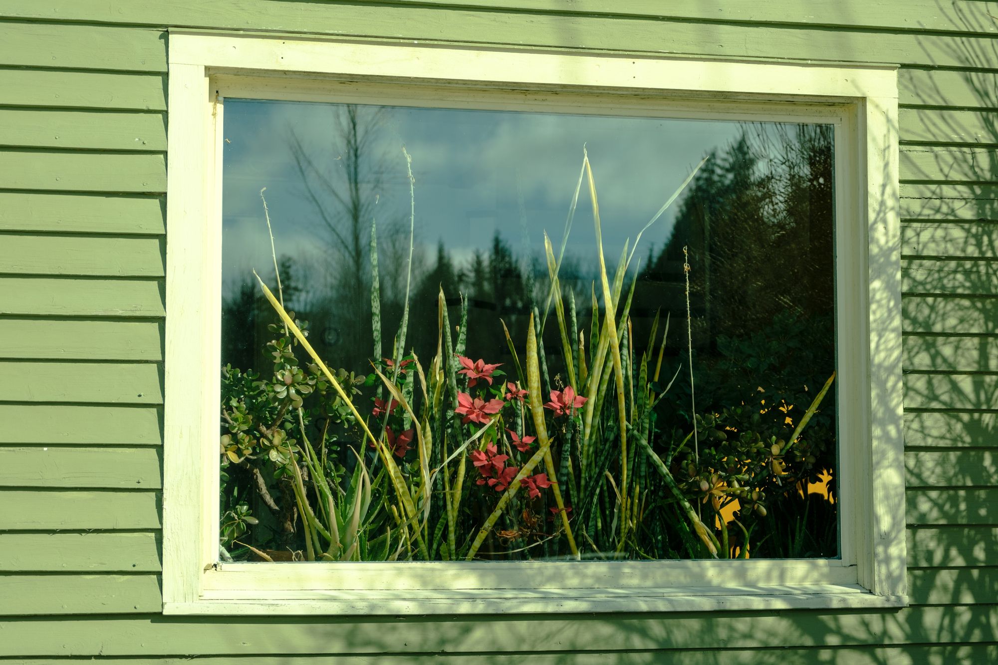 Londonderry Living 02