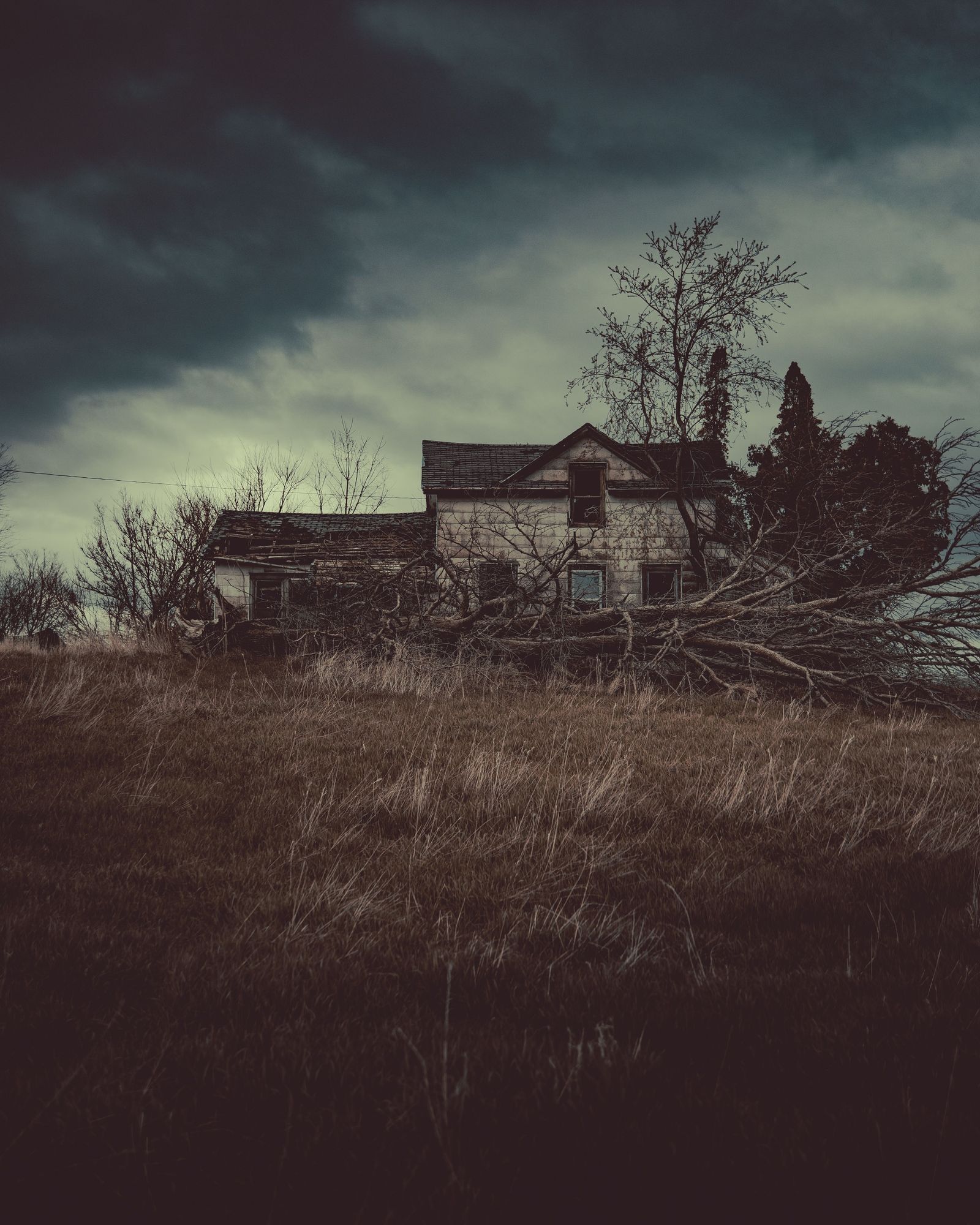 Lone Tree Point House