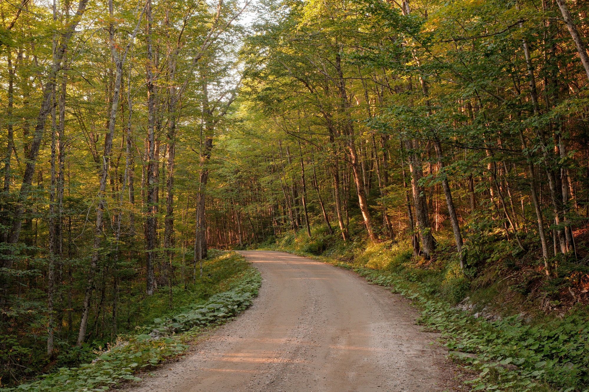 Long Pond Road, Westmore