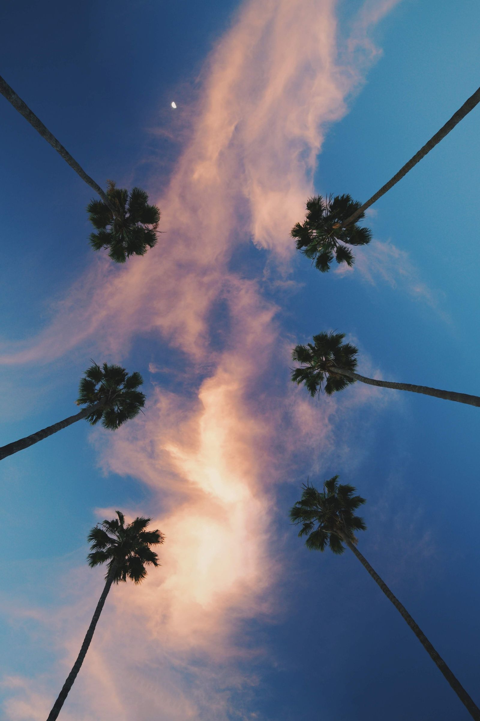 Look Up