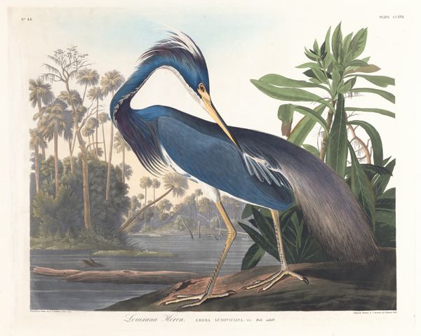 John James Audubon
