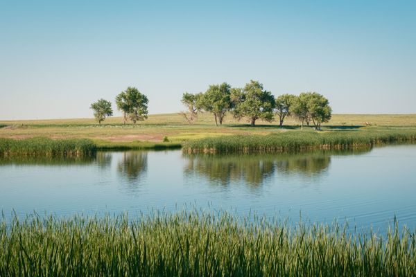 Wetlands