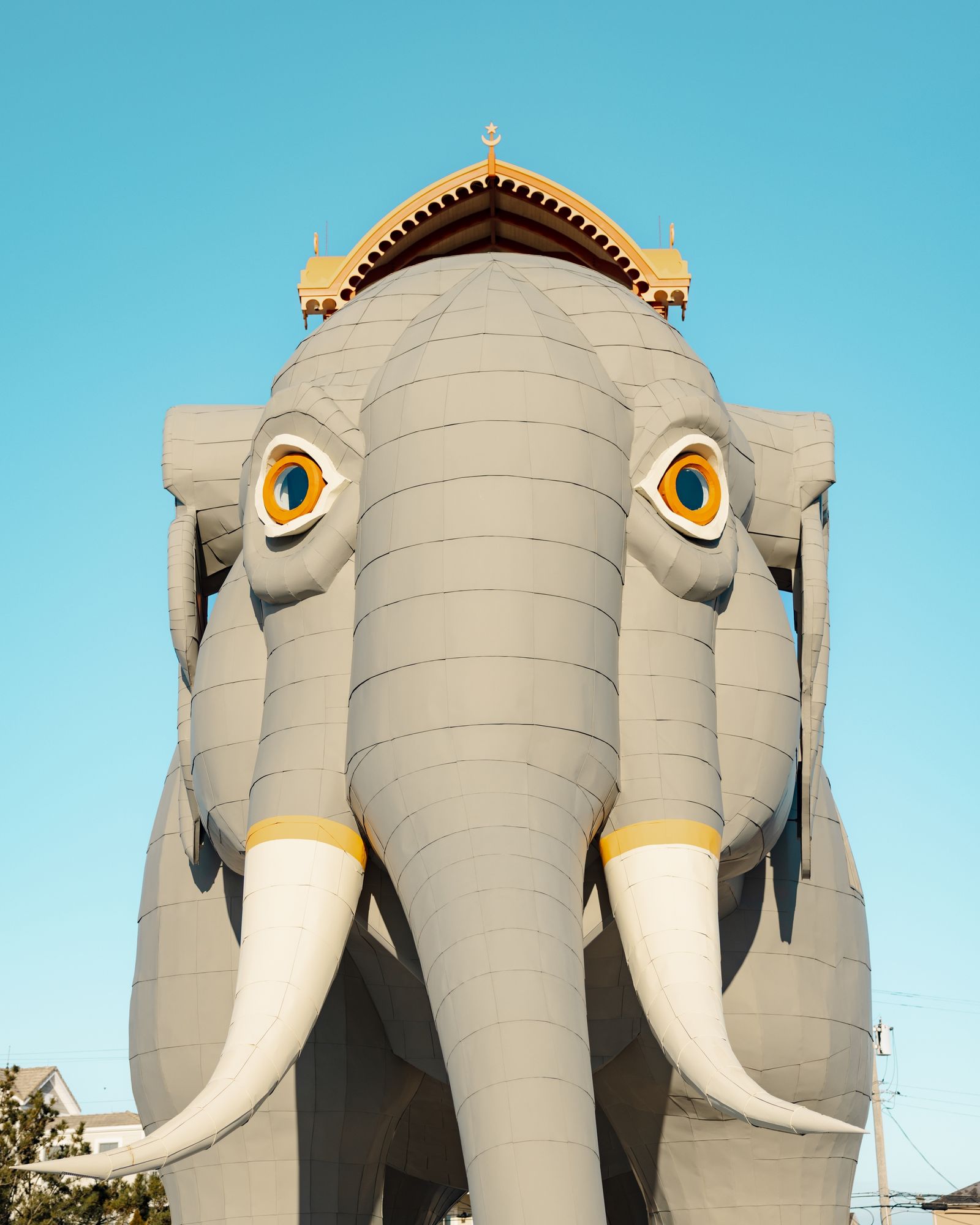 Lucy the Elephant 02
