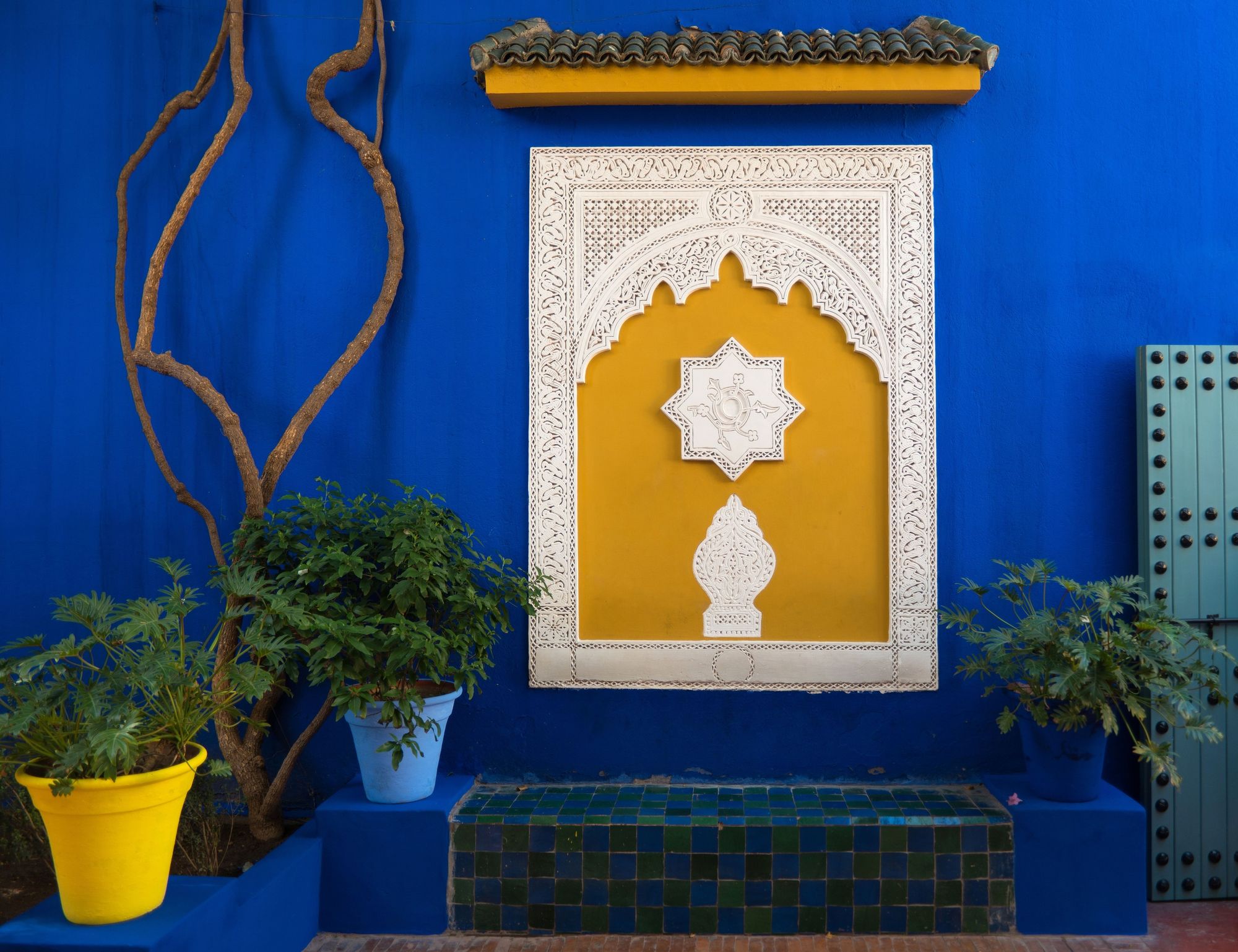 Majorelle Dreams