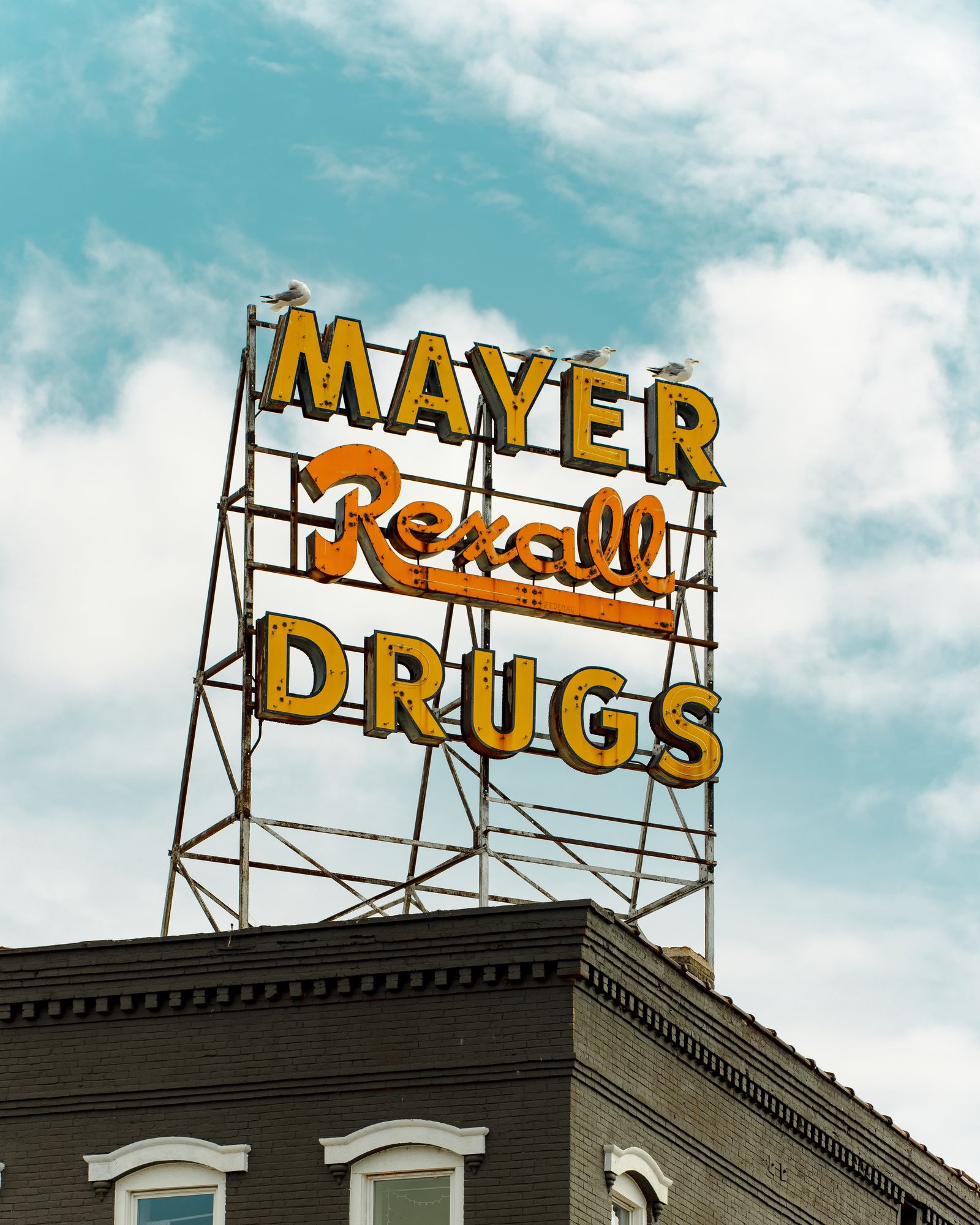 Mayer Rexall Sign 01