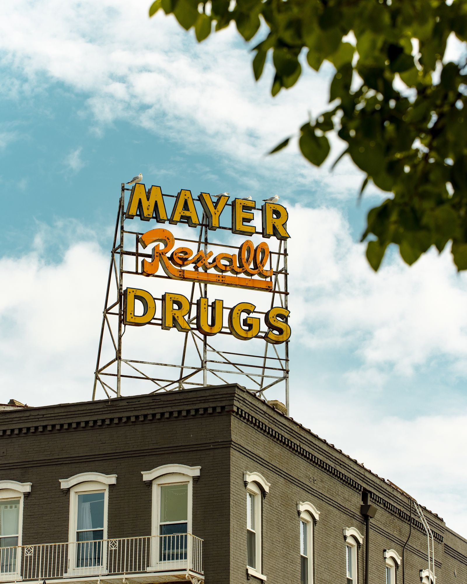 Mayer Rexall Sign 02