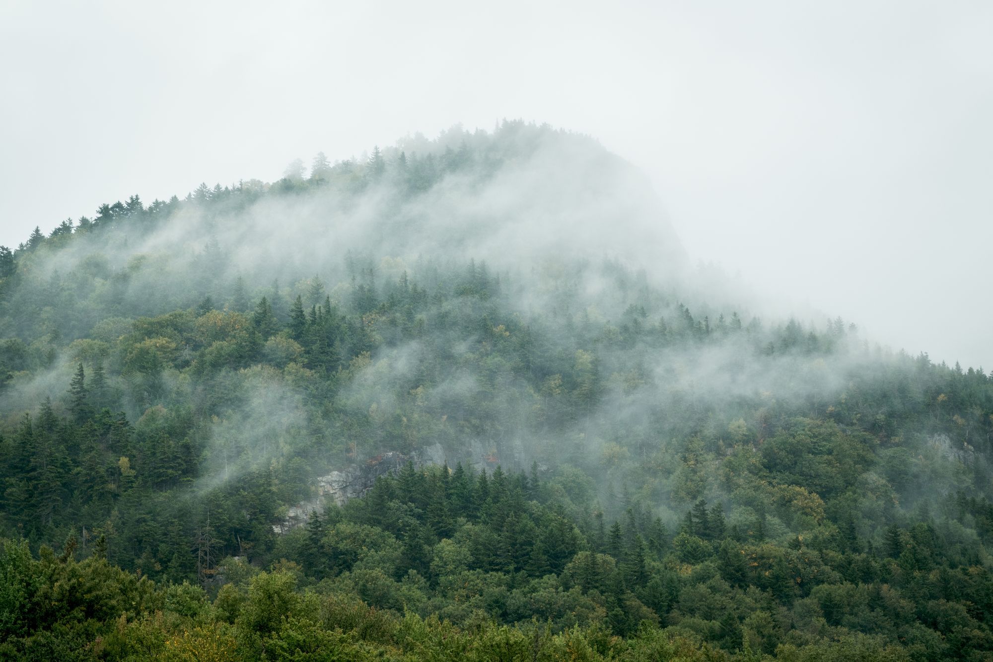 Misty Mountains, Franconia Notch