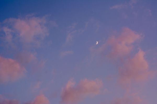 Pastels