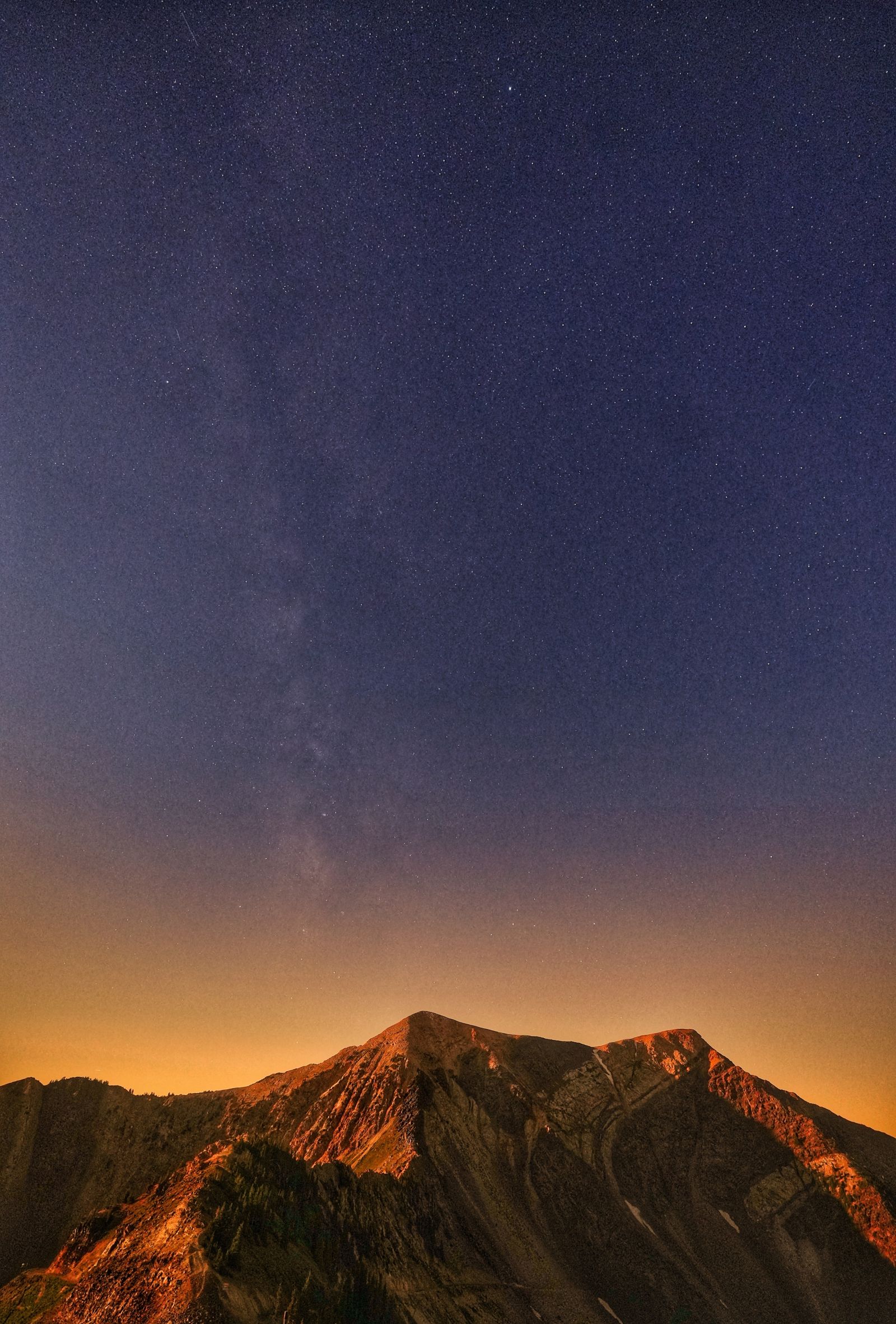 Three of Joshua Tree