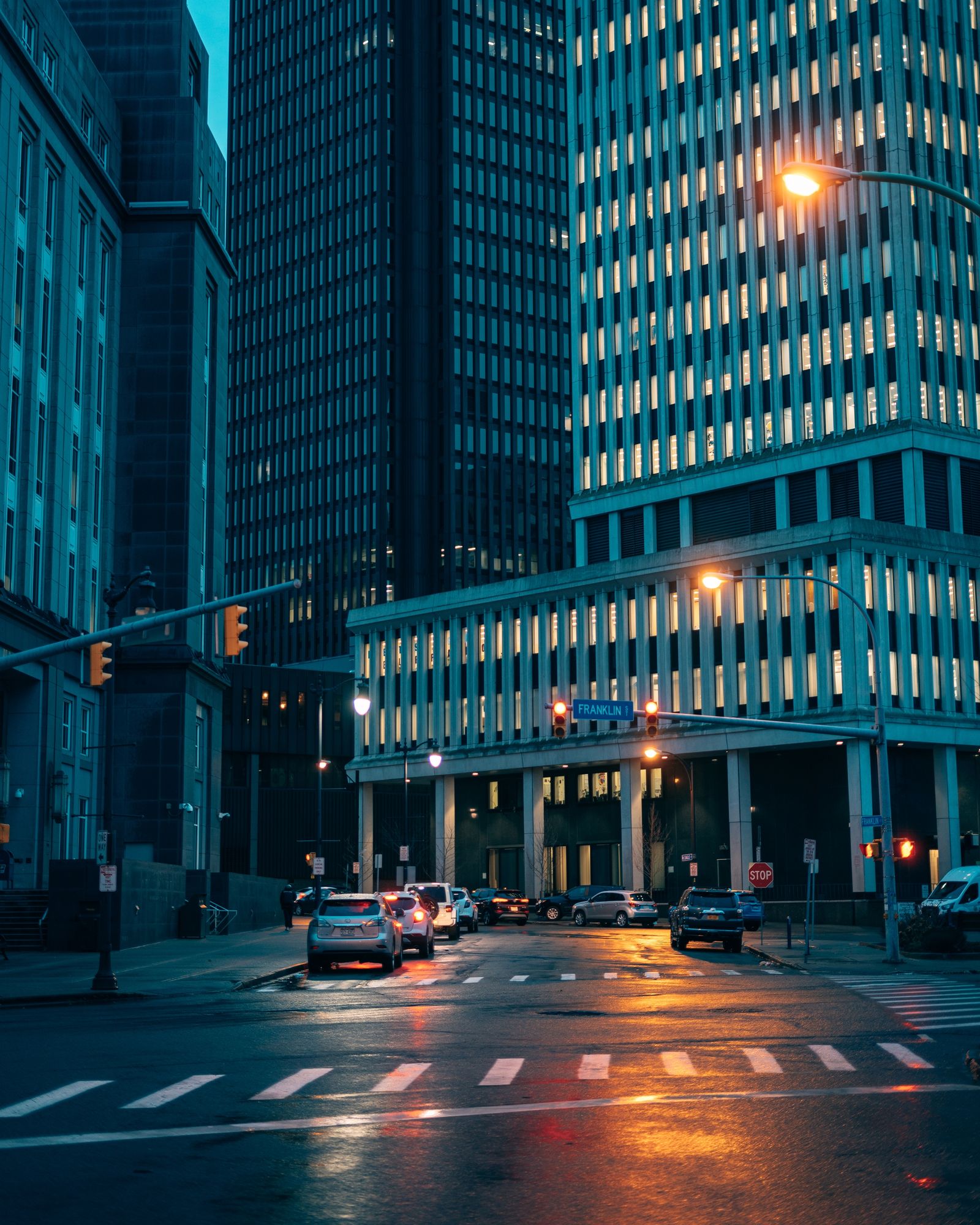 Modern Buffalo