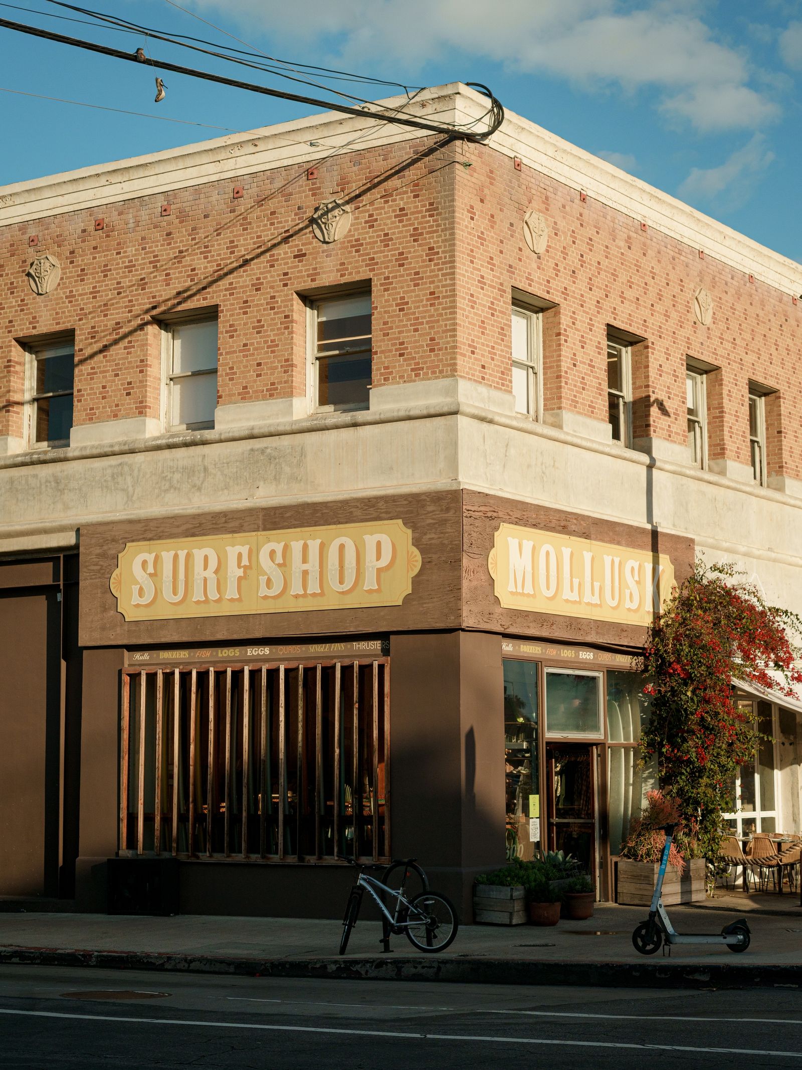 Mollusk Surf Shop, Venice Beach