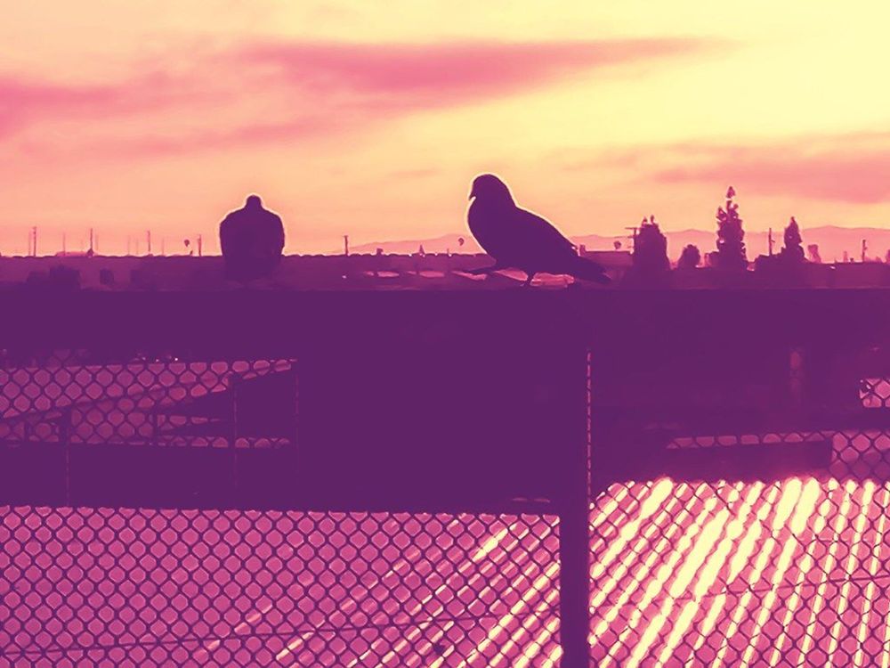 morning-walk-framer-gallery-framed-wall-art-prints