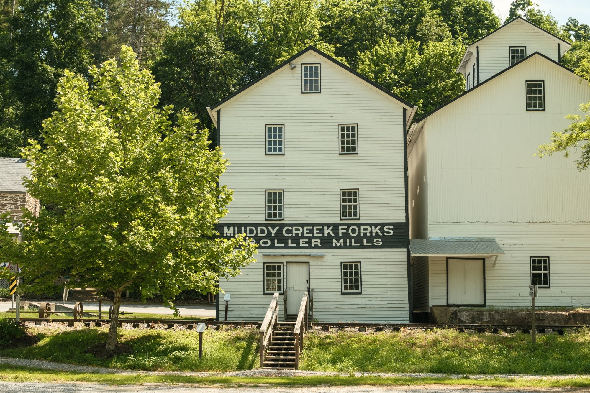 Muddy Creek Forks