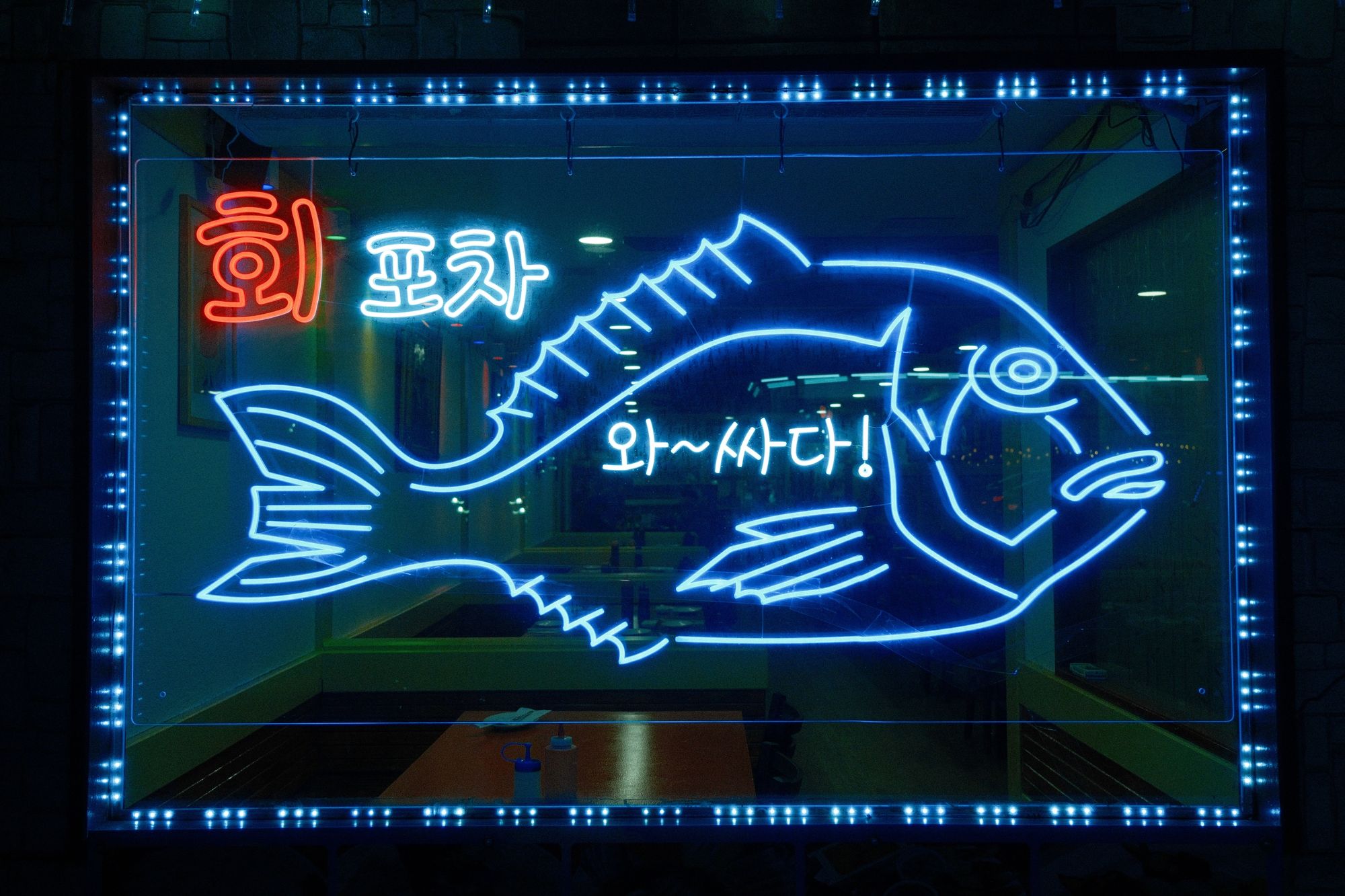 Neon Fish, Murray Hill