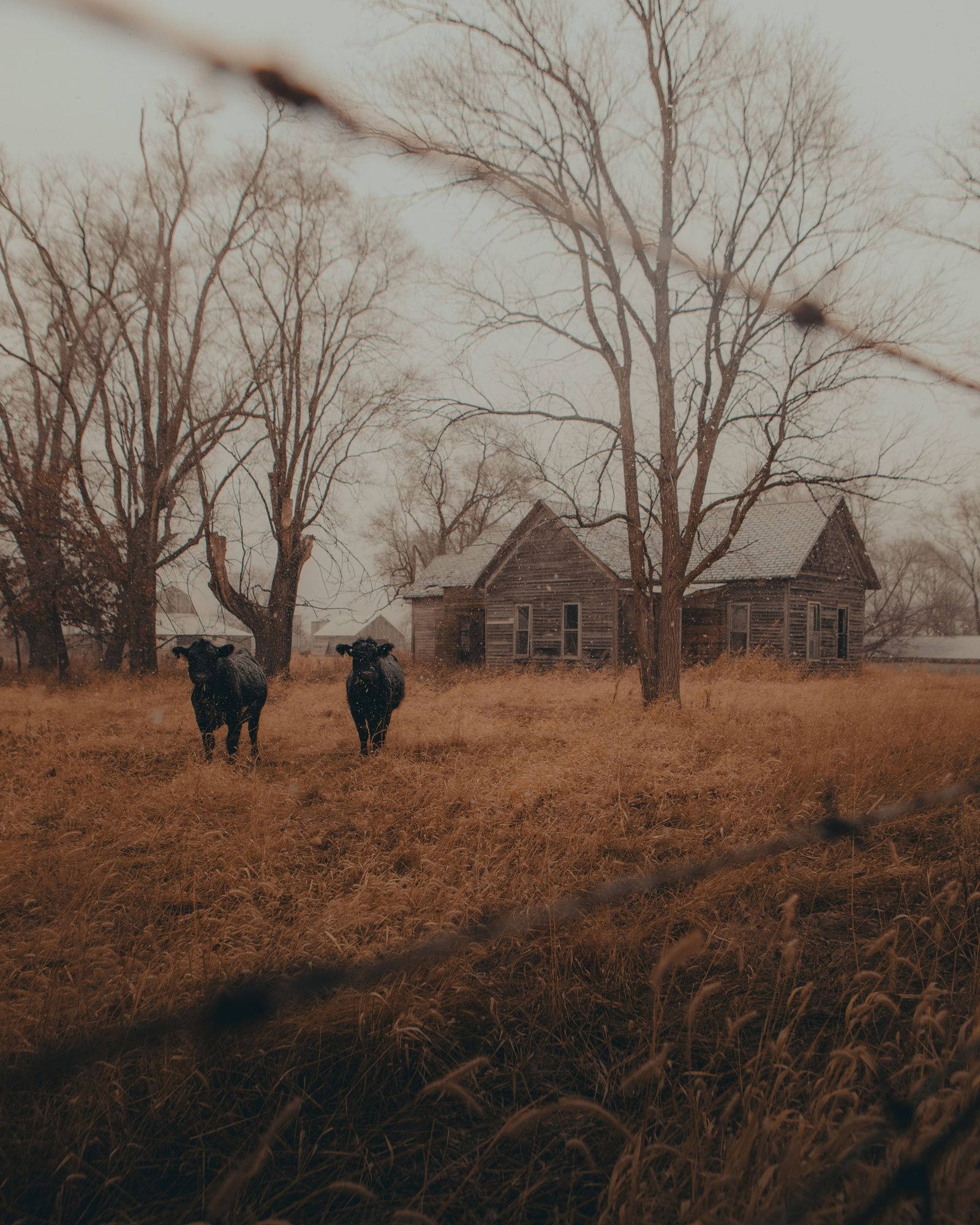 Near Woodville 01