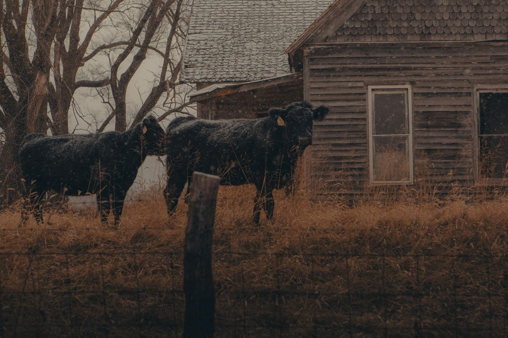 Near Woodville 03