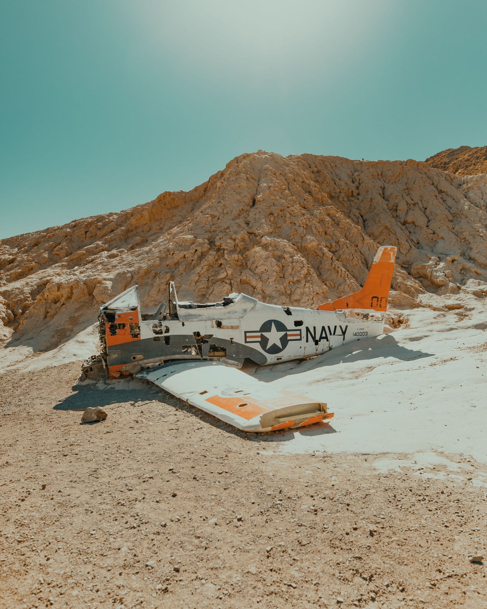 Nelson Navy Plane