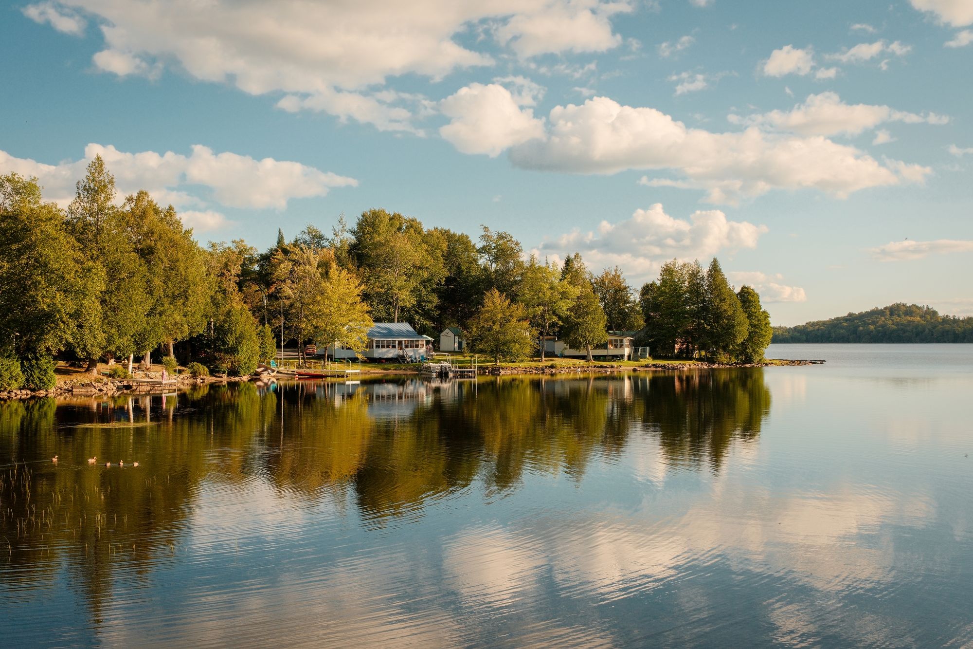 Newark Pond 01