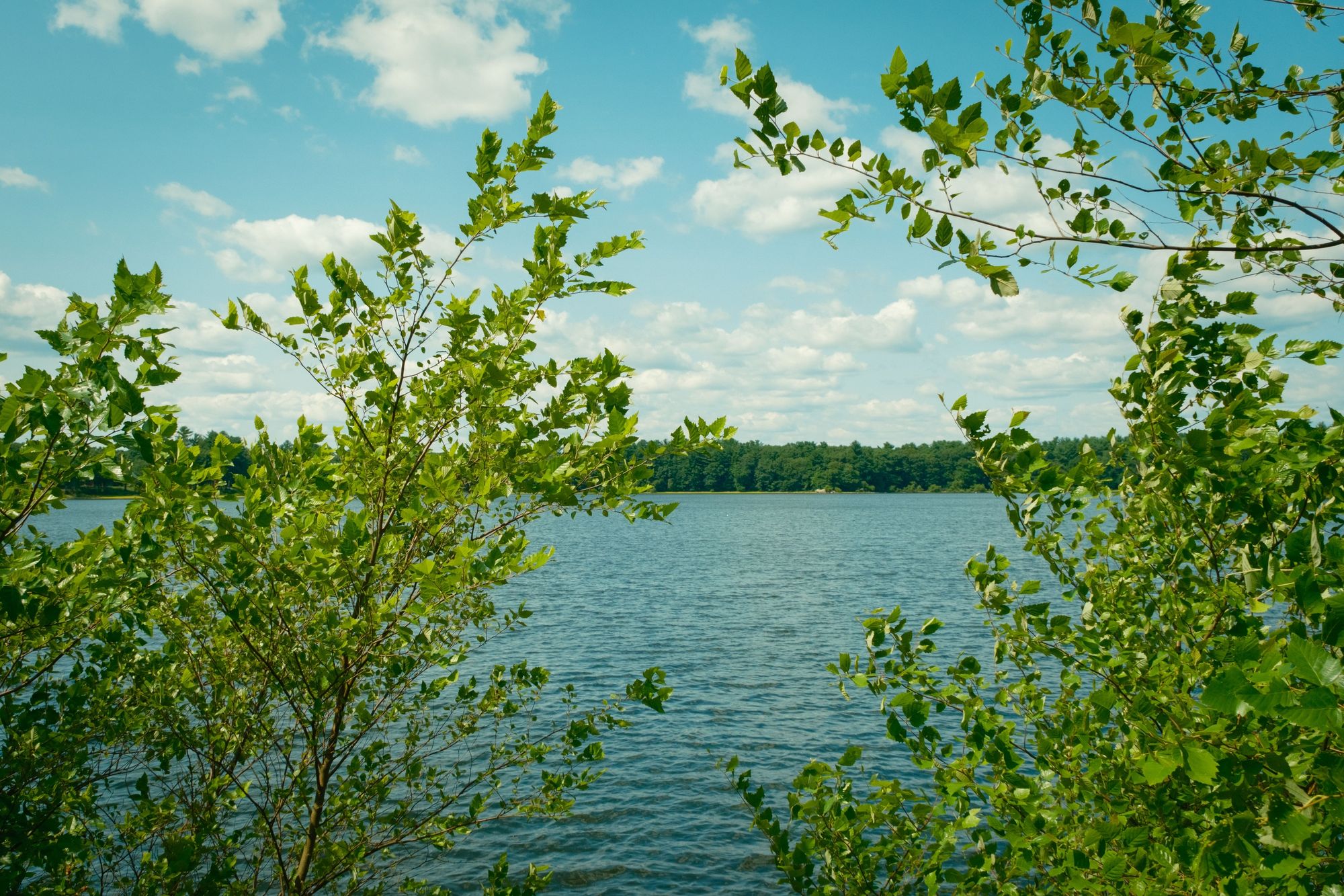 Newhall Park, Lynnfield
