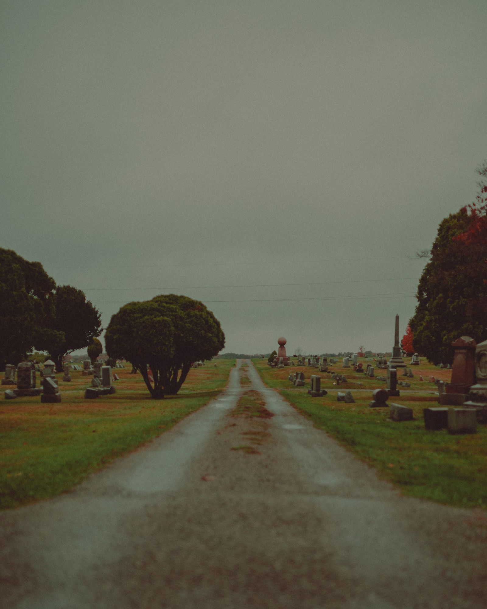 Night of the Living Dead Cemetery 04