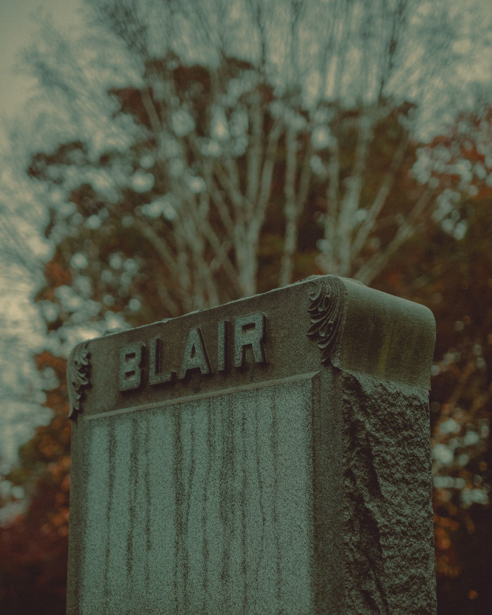 Night of the Living Dead Cemetery 06