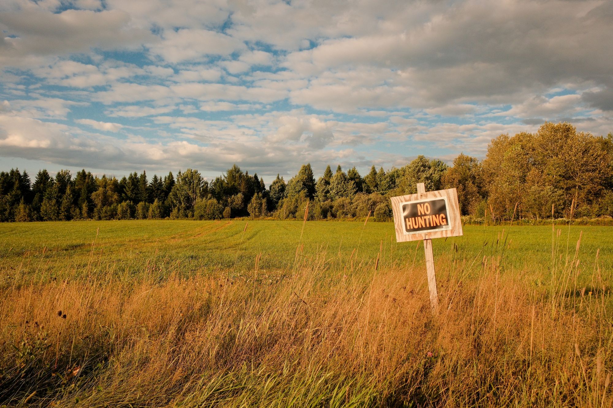 No Hunting, Brownington
