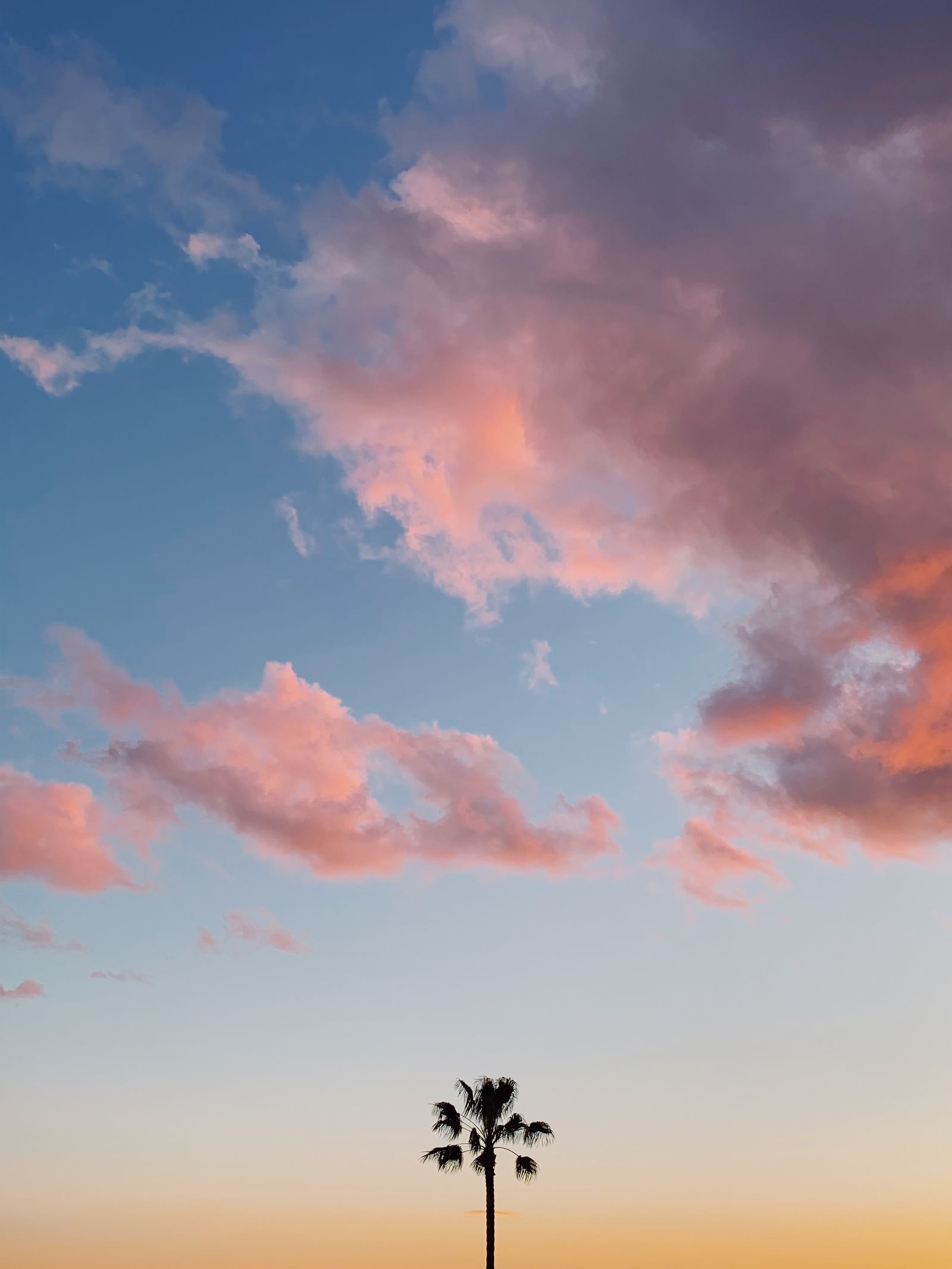 One Palm