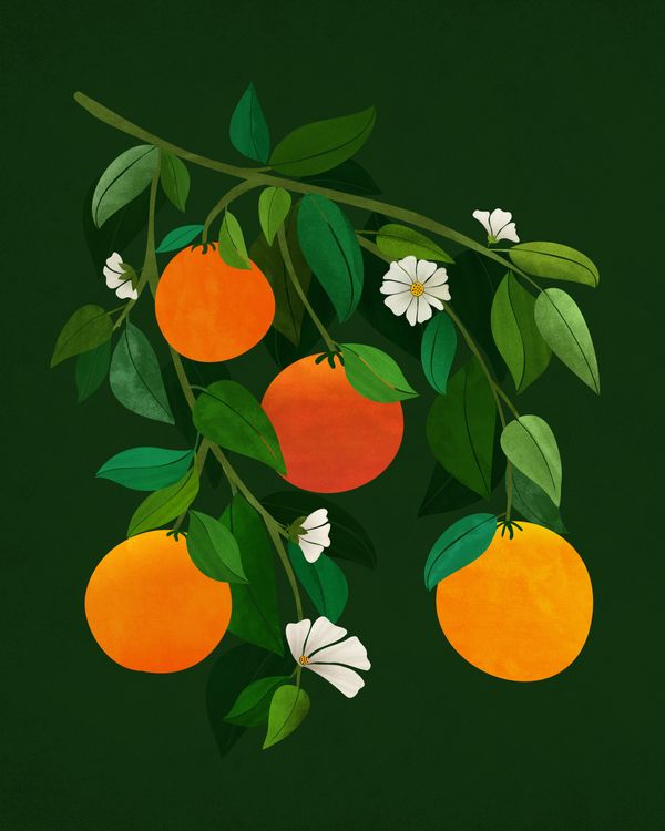Floral & Botanical