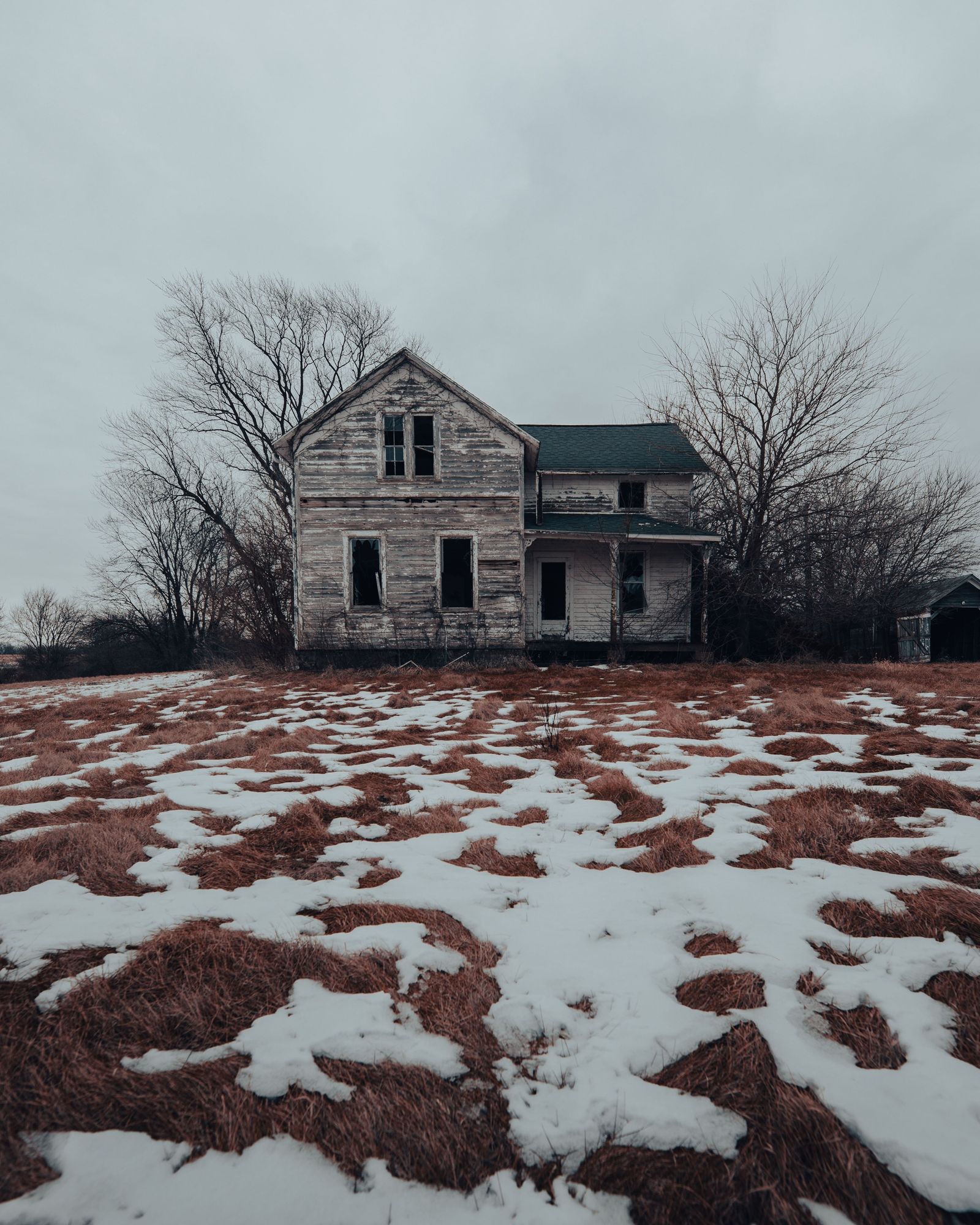 Owl House 01