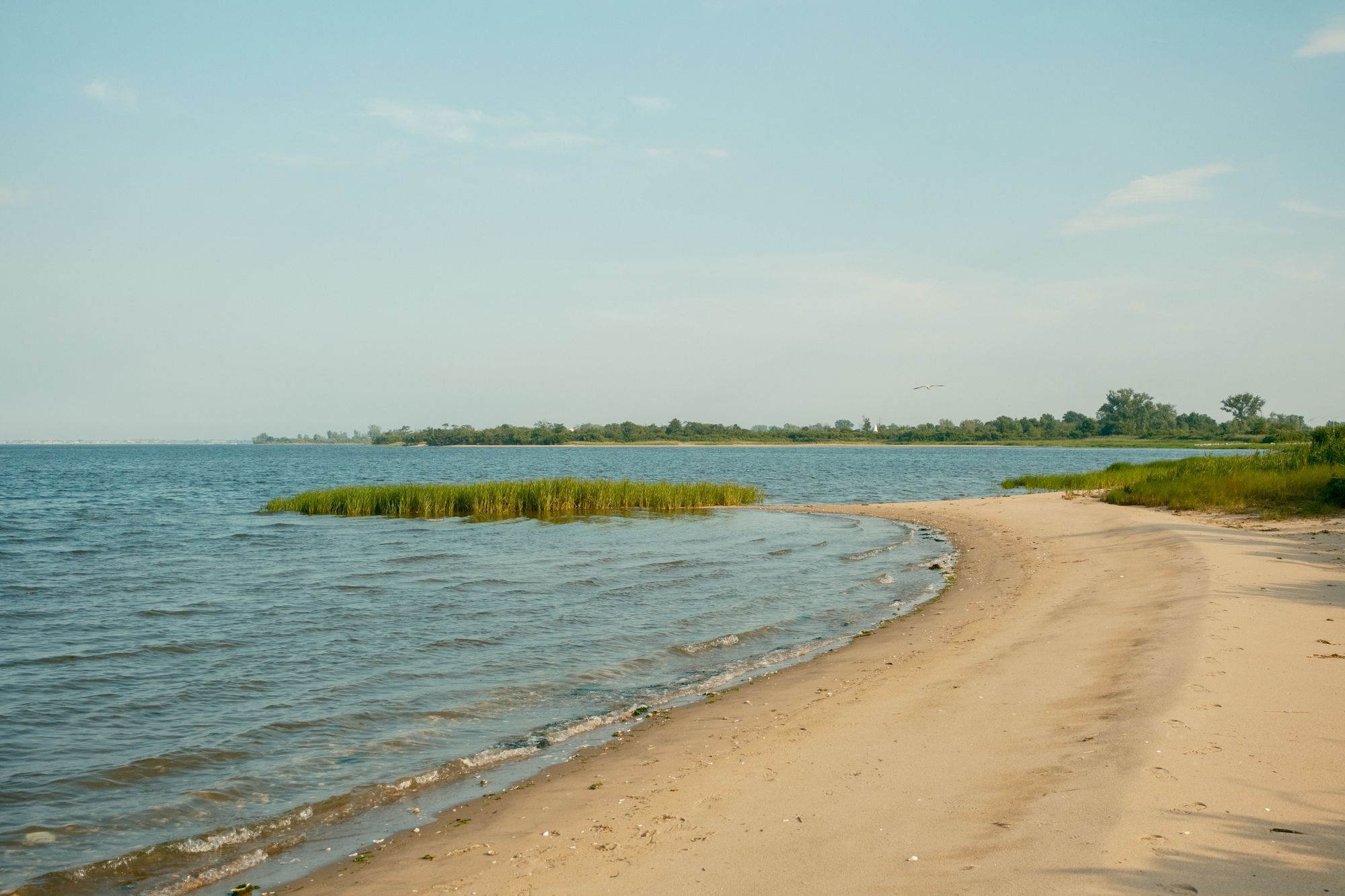 Paerdegat Beach, Brooklyn