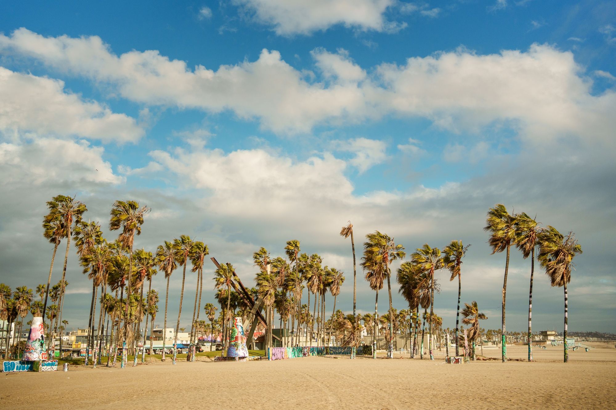 Palms on Venice Beach, Los Angeles
