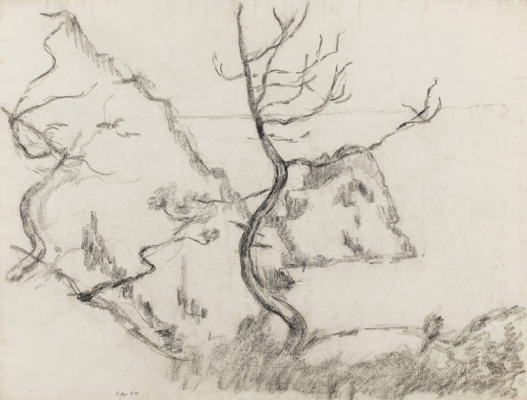 Paysage