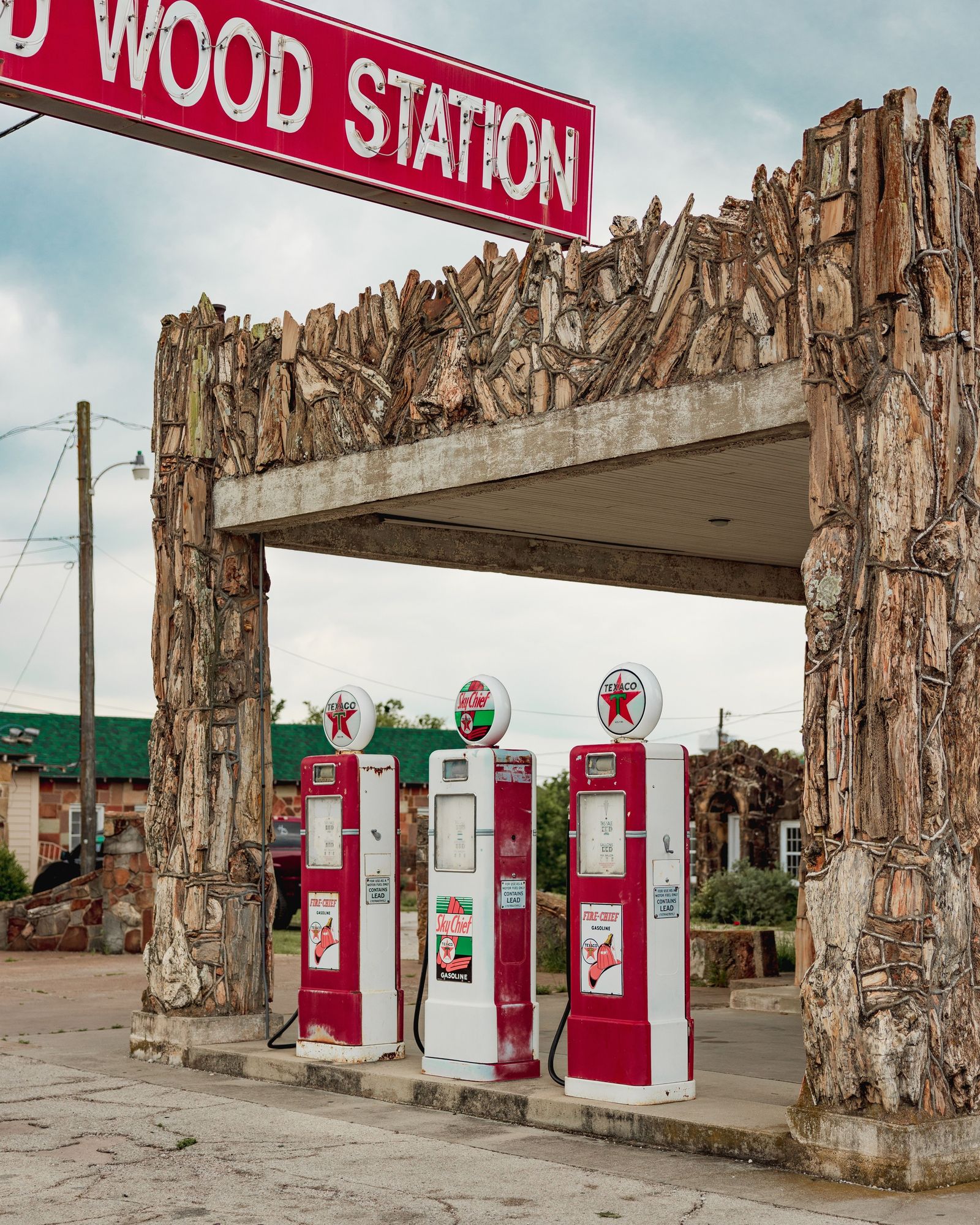 Petrified Wood Station 04