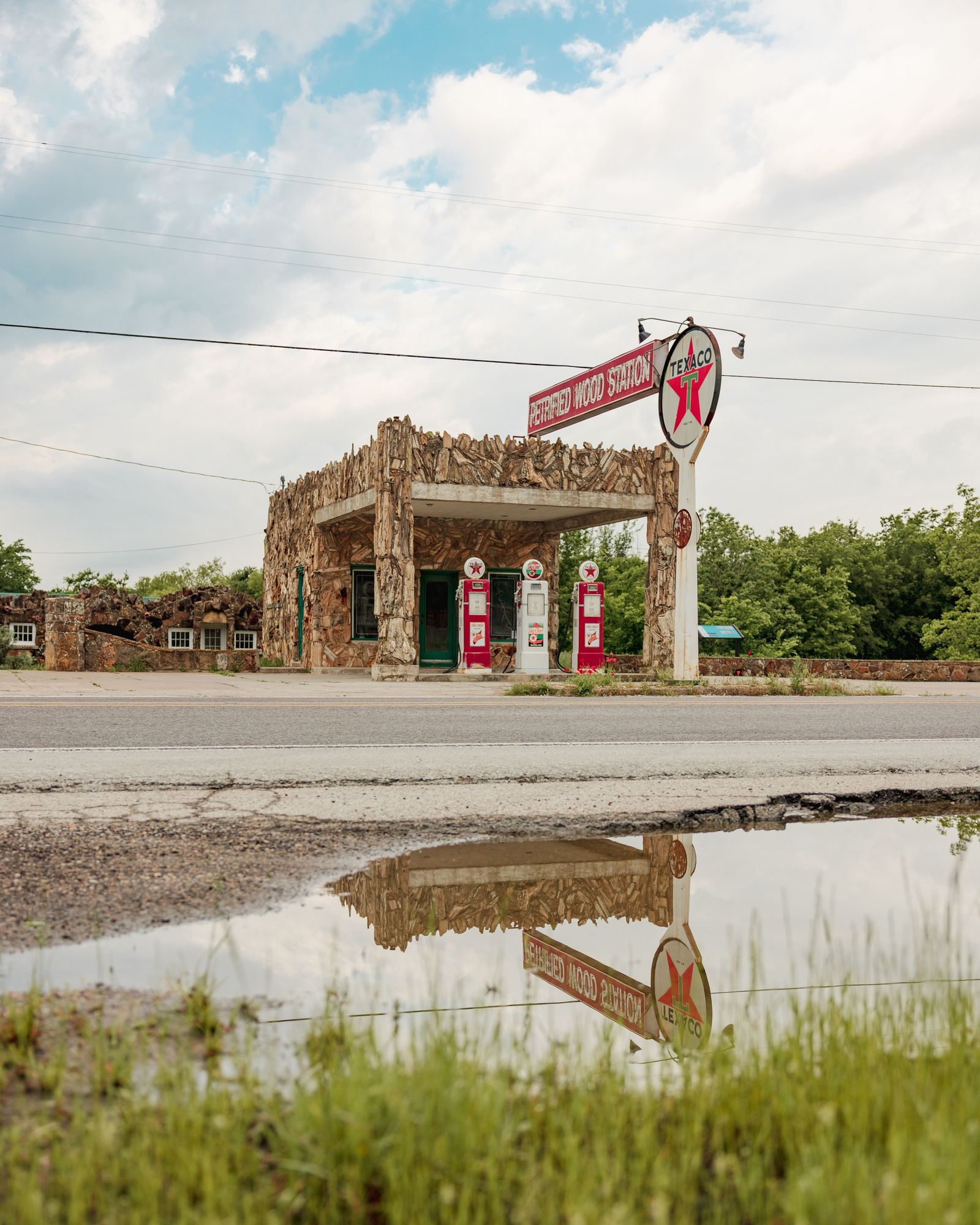 Petrified Wood Station 05