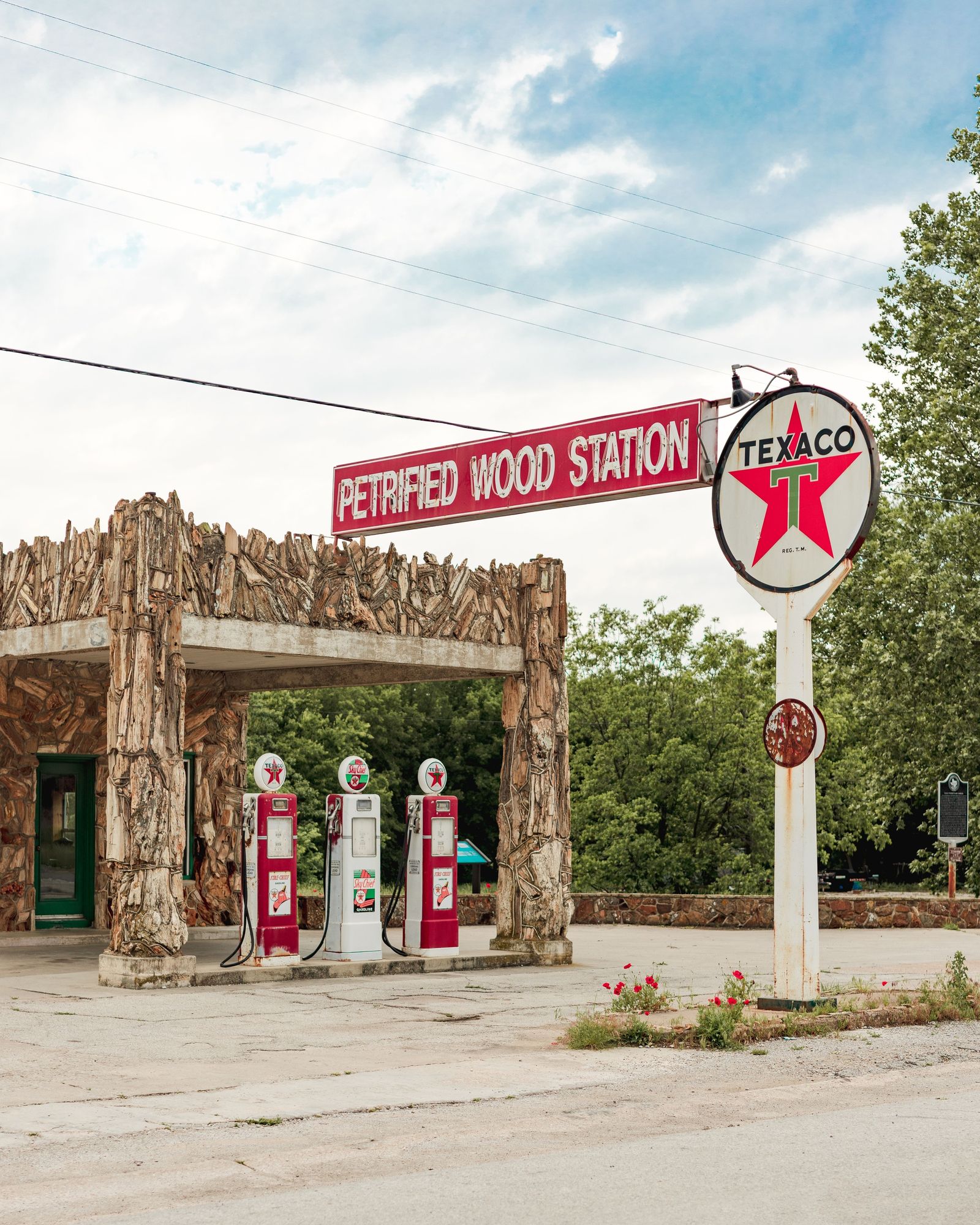 Petrified Wood Station 01
