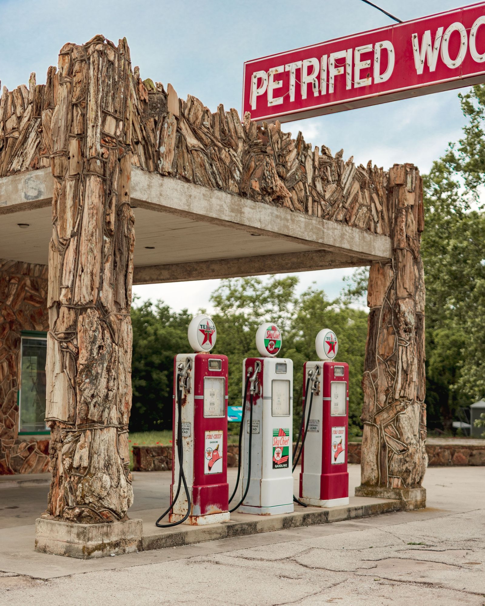 Petrified Wood Station 03