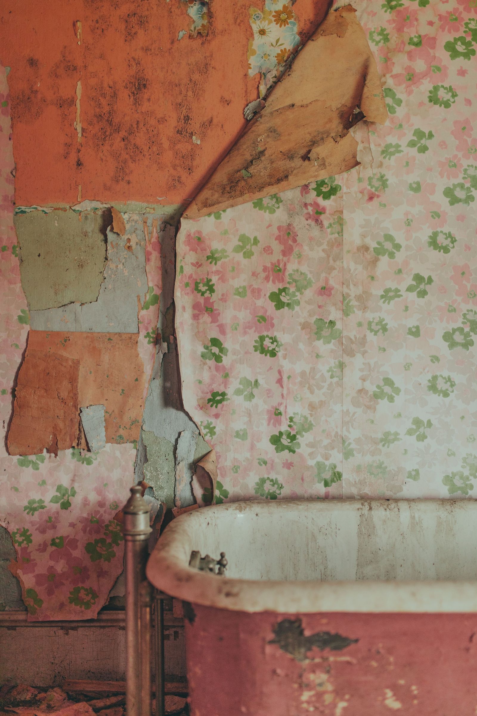 Pinehill House Interior 03