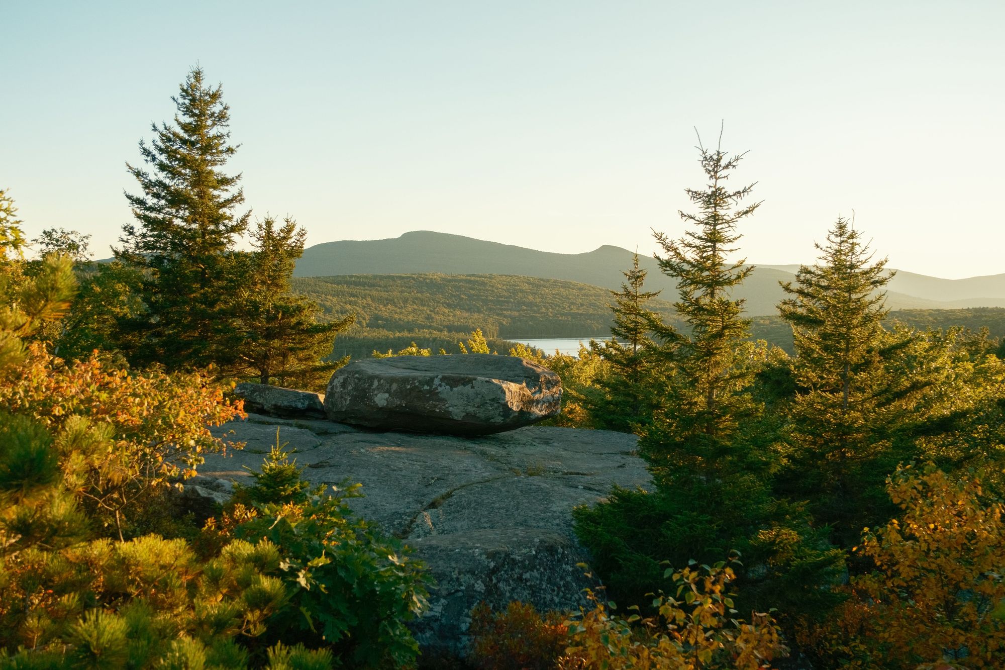 Pines at Sunset Rock 02