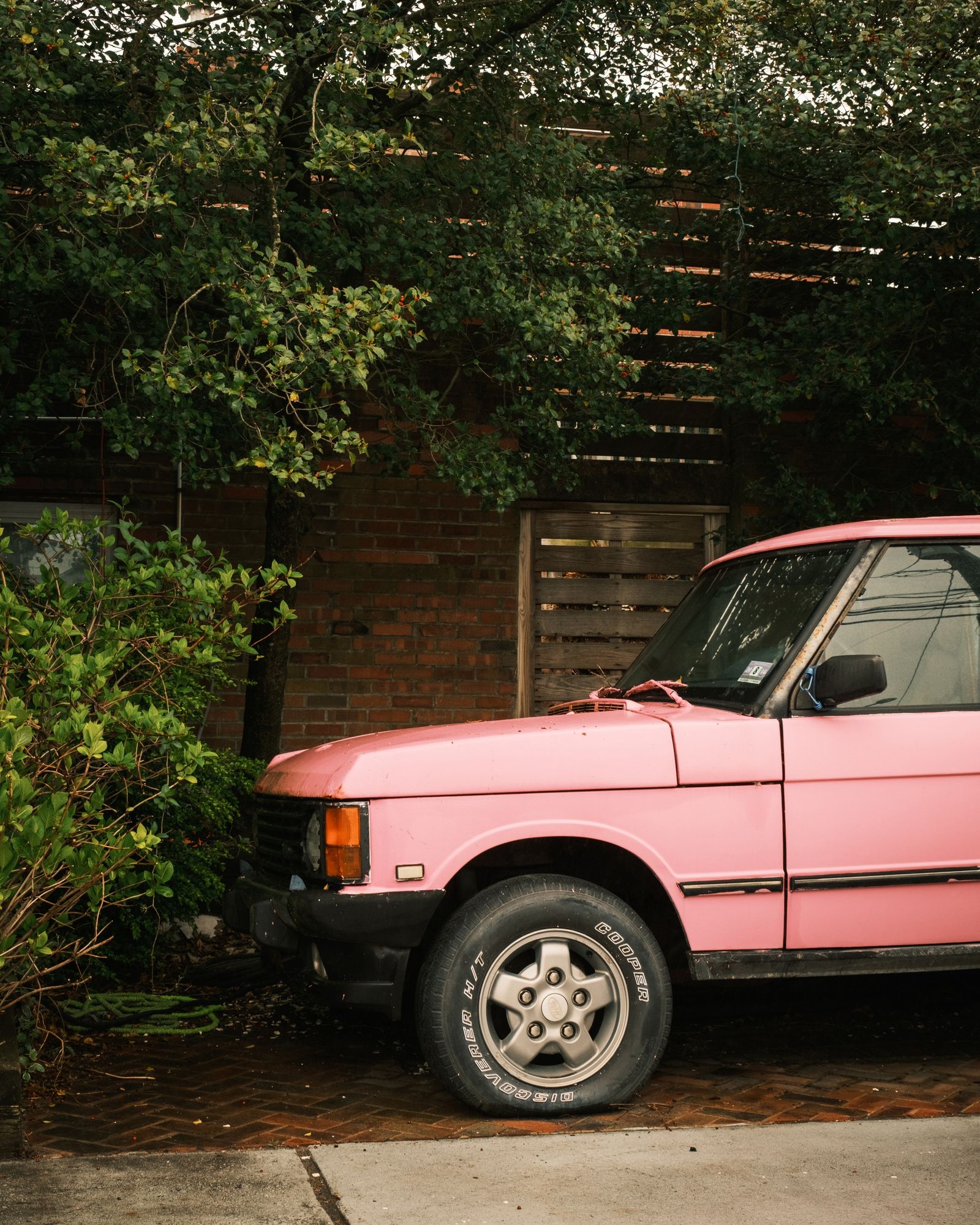 Pink