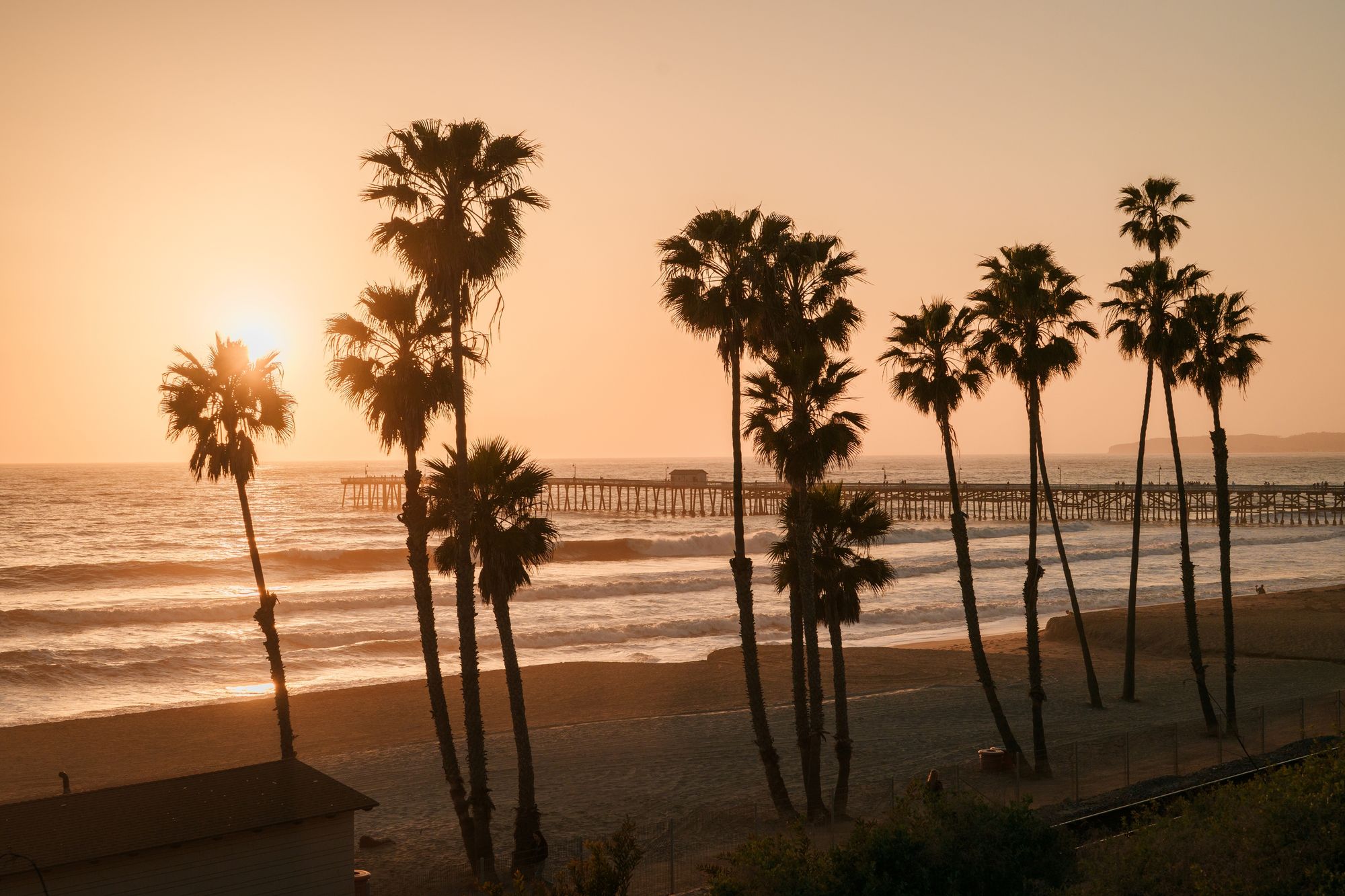 Pier & Palms, San Clemente 02