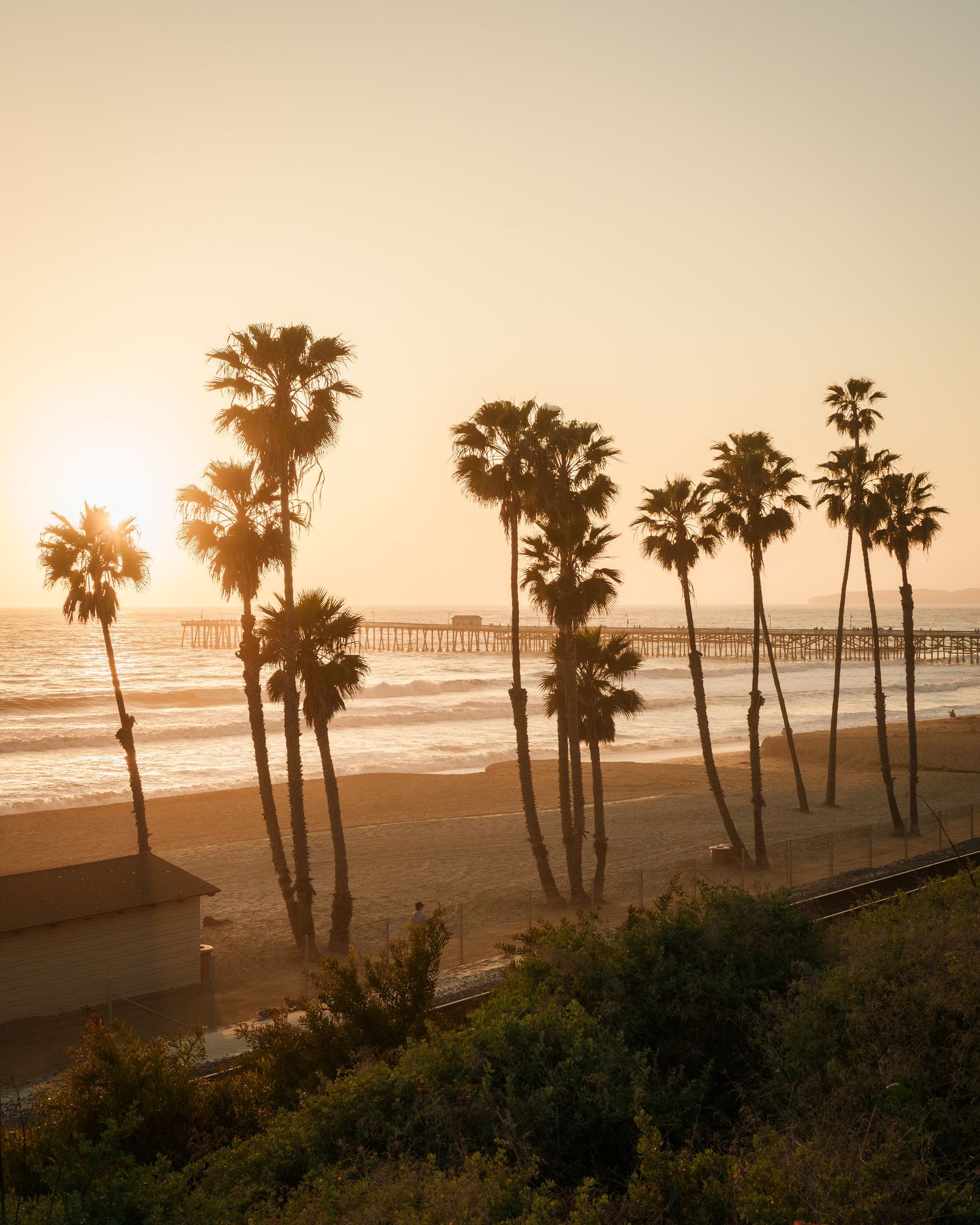 Pier & Palms, San Clemente 01