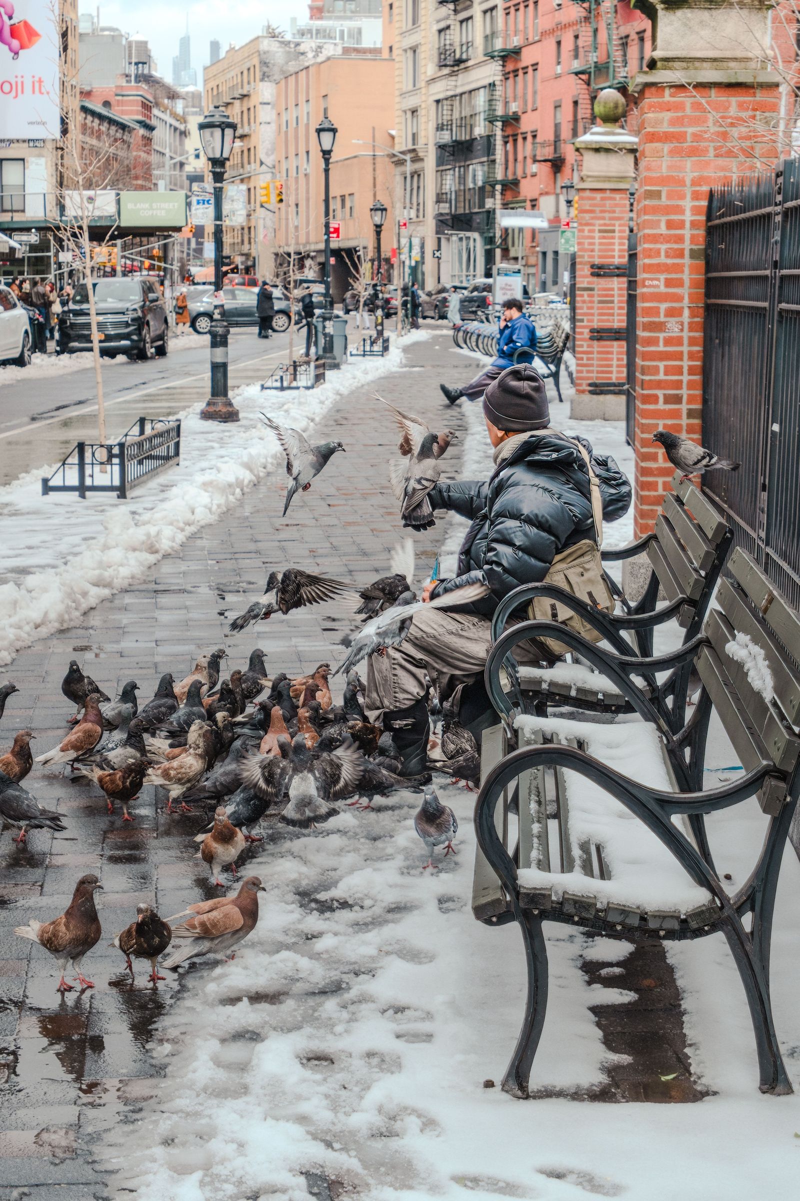 Pigeon Feeding New Yorker