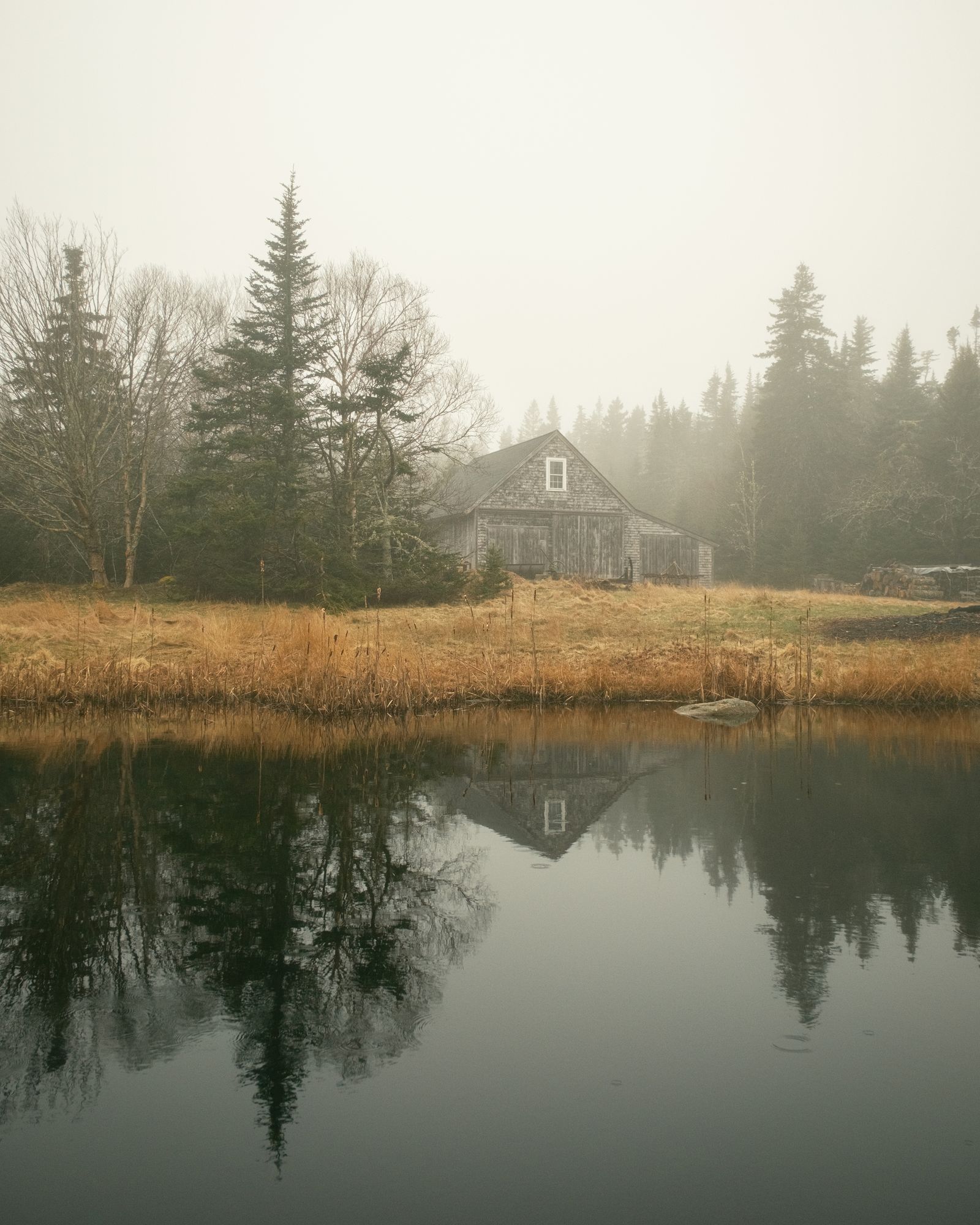 Pond & Barn, Beals Island