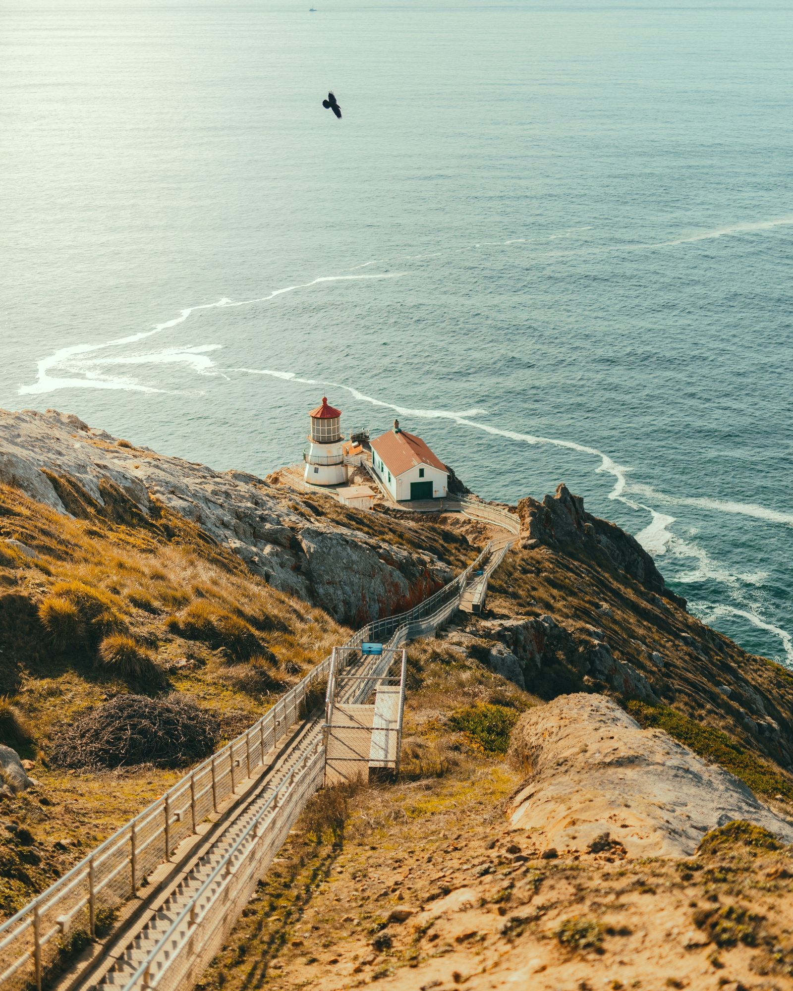 Point Reyes 01 - 2017