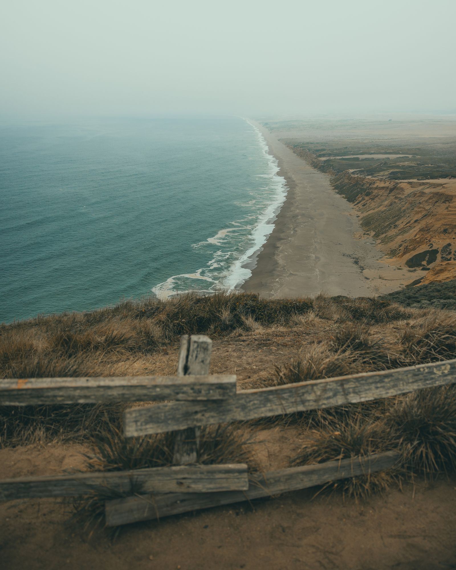 Point Reyes 02 - 2026
