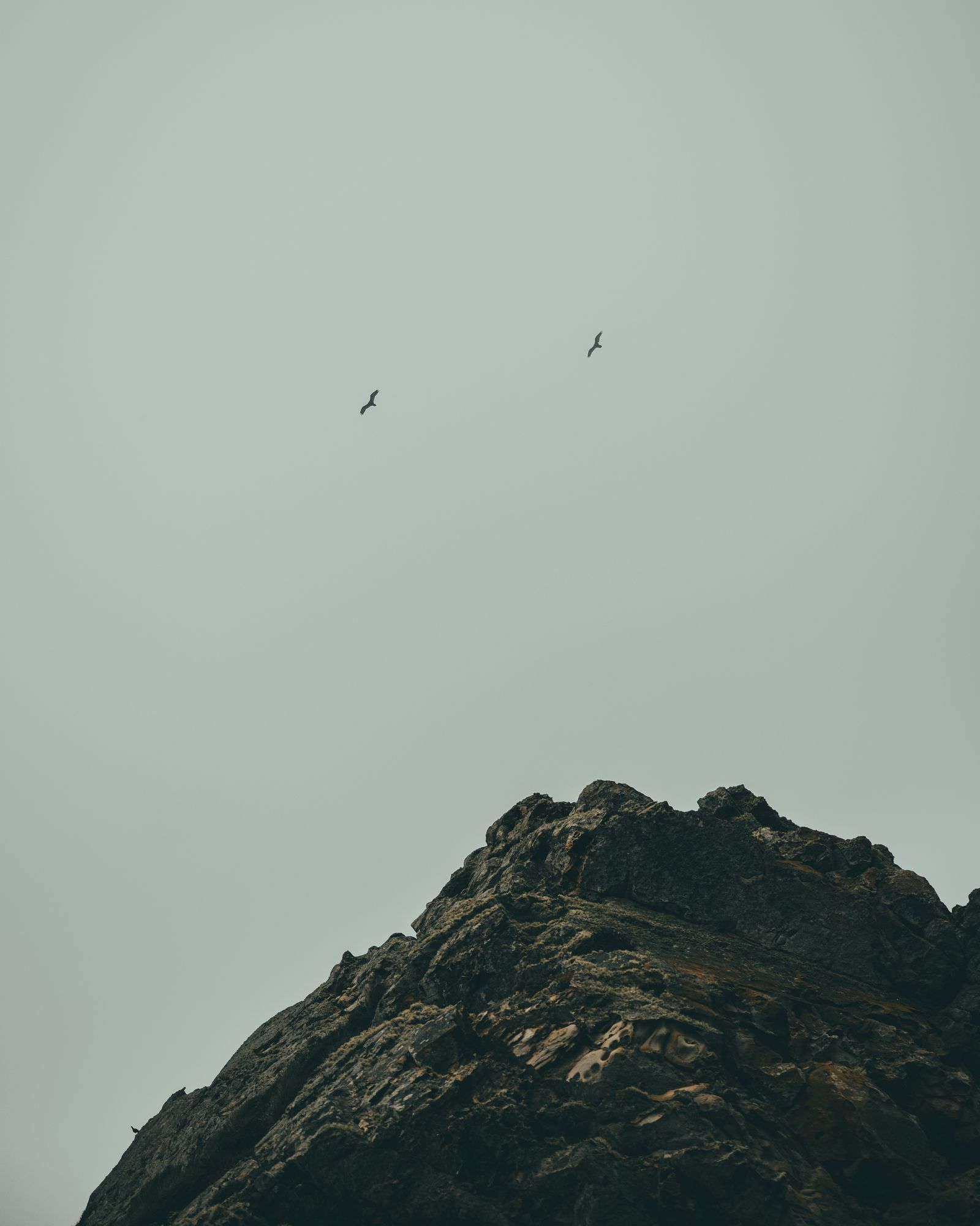 Point Reyes 05 - 2026