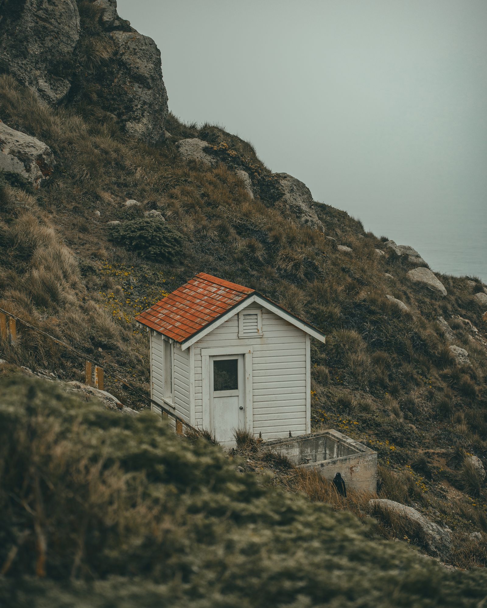 Point Reyes 06 - 2026