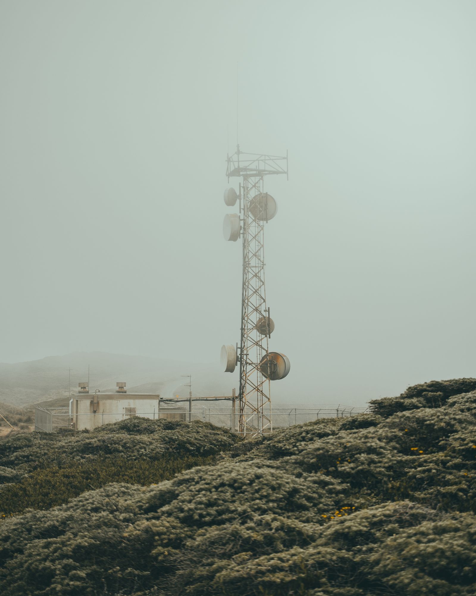 Point Reyes 07 - 2026