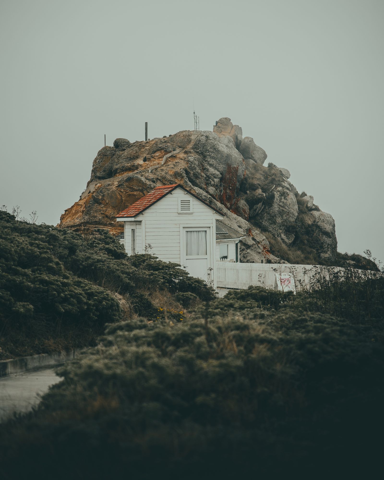 Point Reyes 08 - 2026