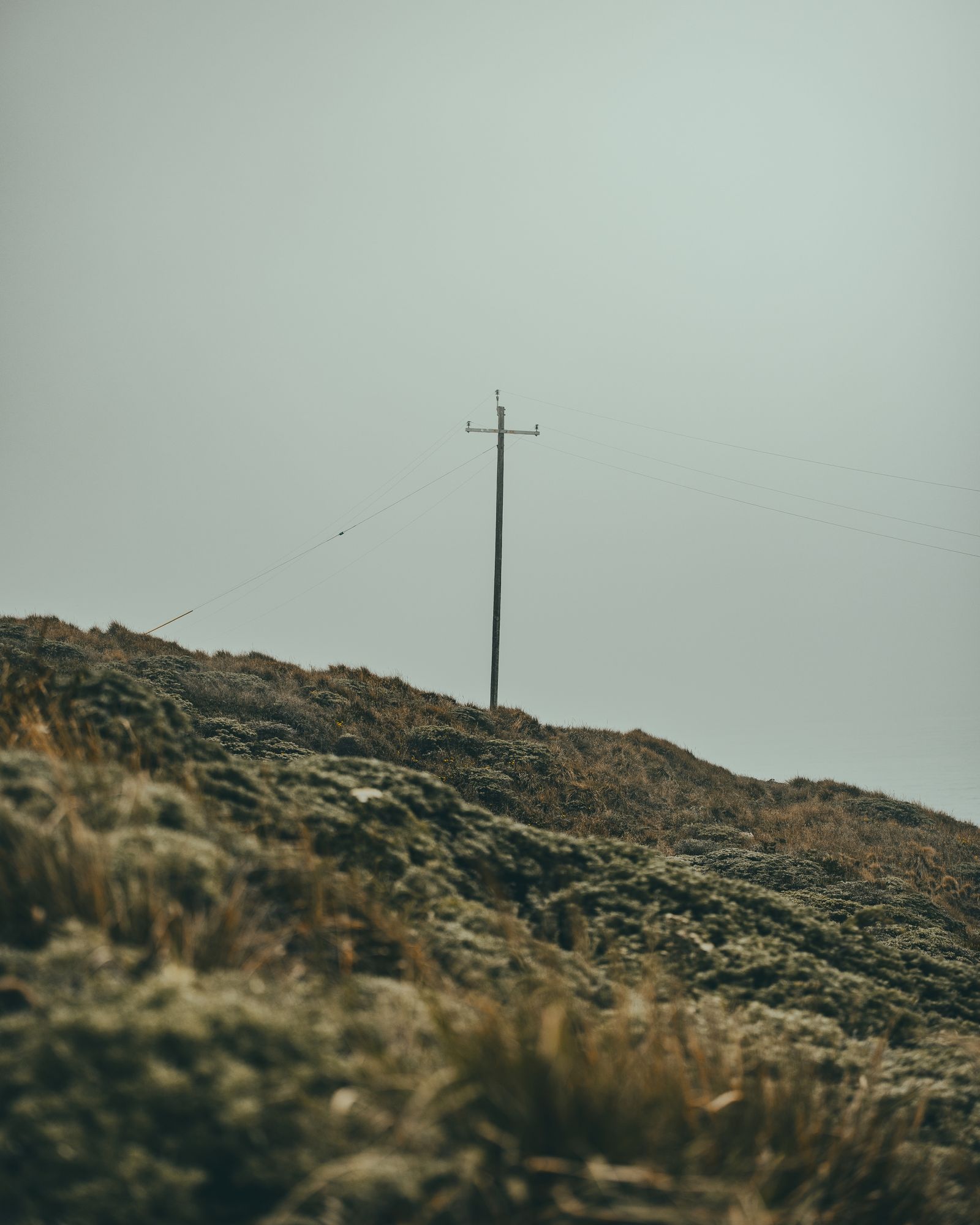 Point Reyes 09 - 2026